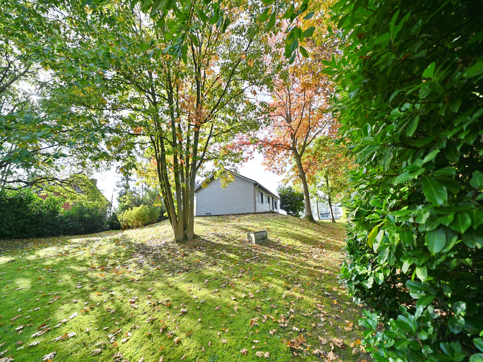 Rustgevend chalet Hortensias voor 4 personen in Somme-Leuze - foto 11