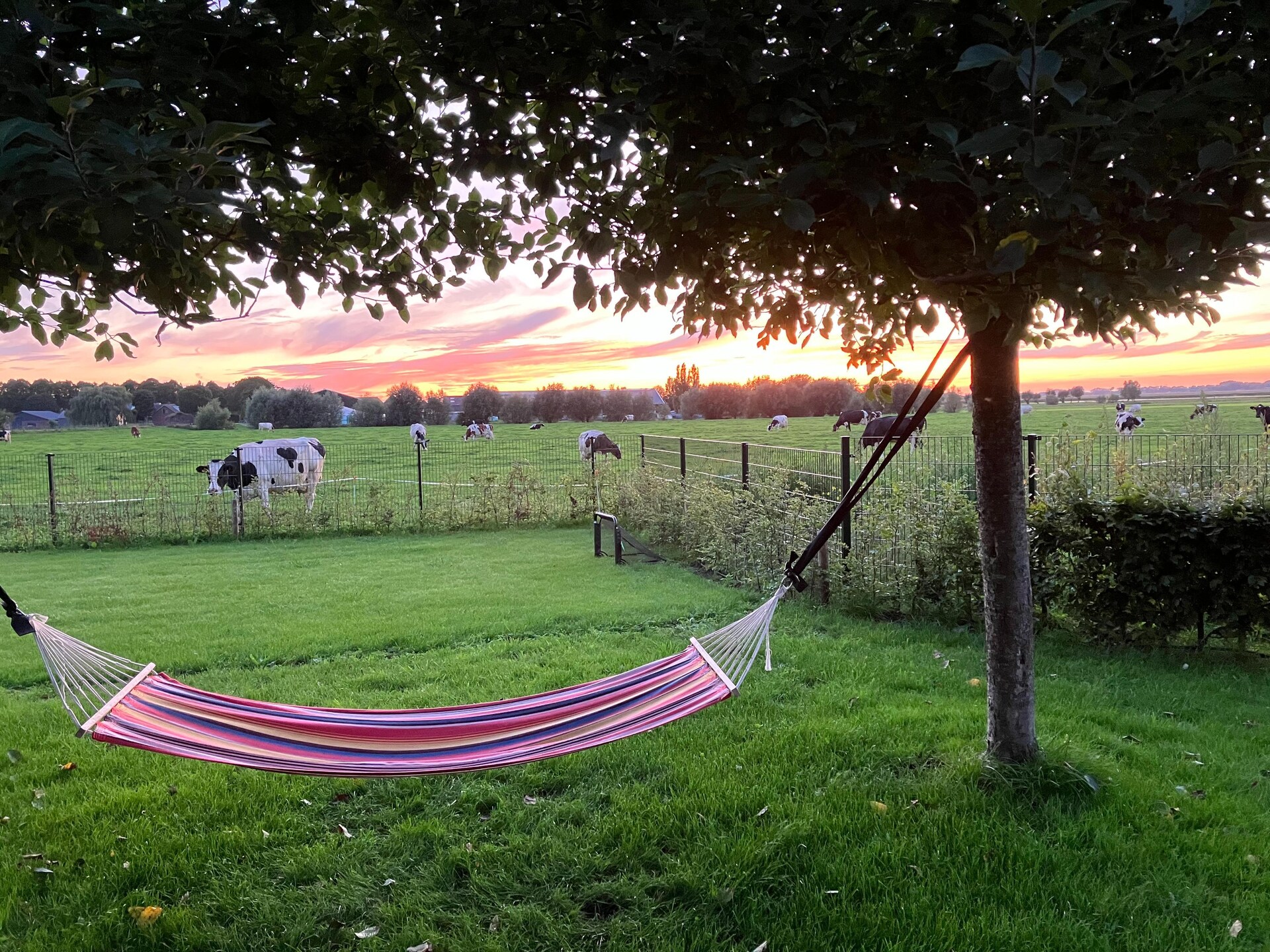 The Old Farmhouse: Landelijk genieten voor 12 personen bij Montfoort - foto 7