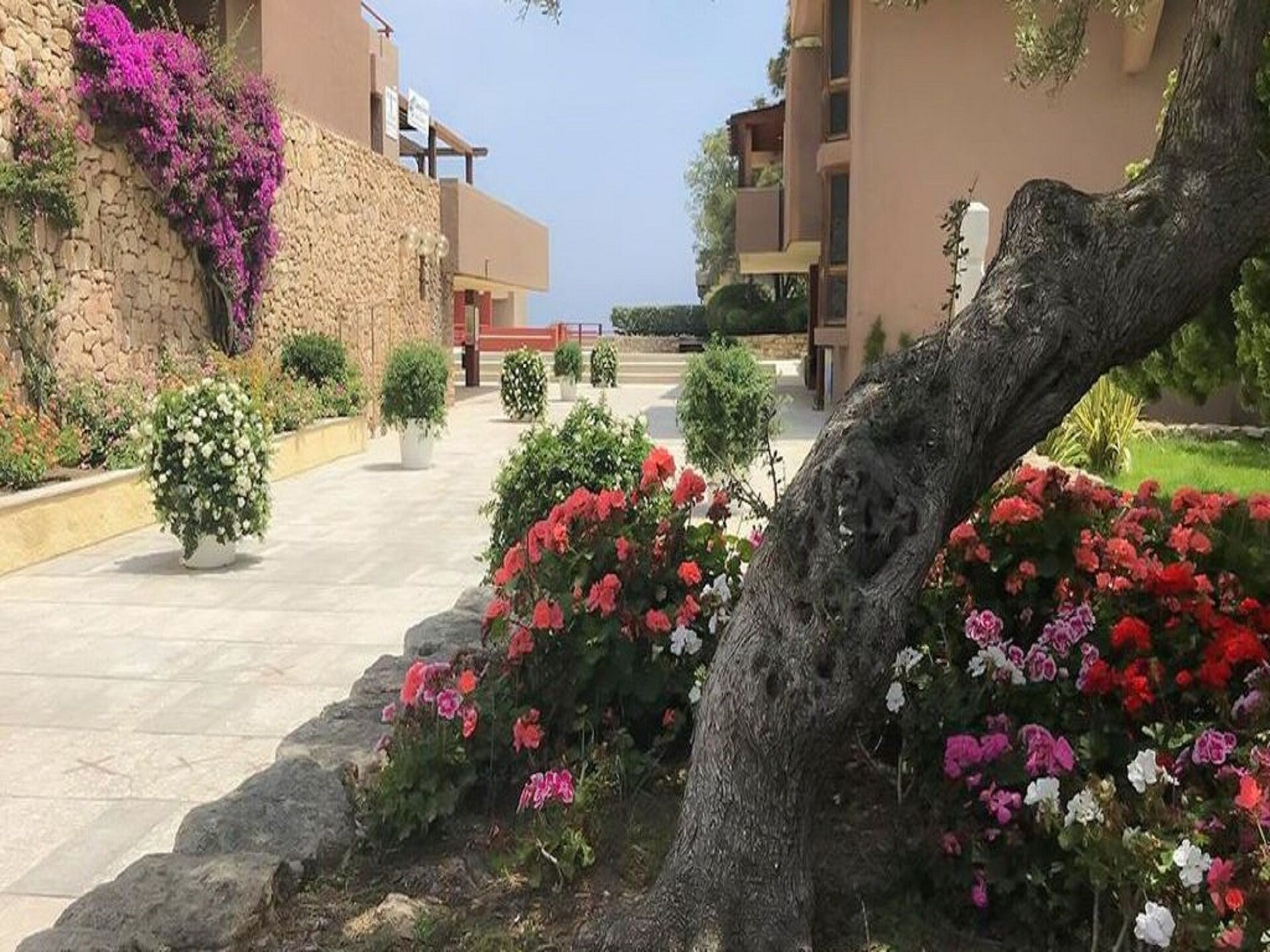 2-persoons appartement in Olbia met privétuin en zeezicht - foto 15