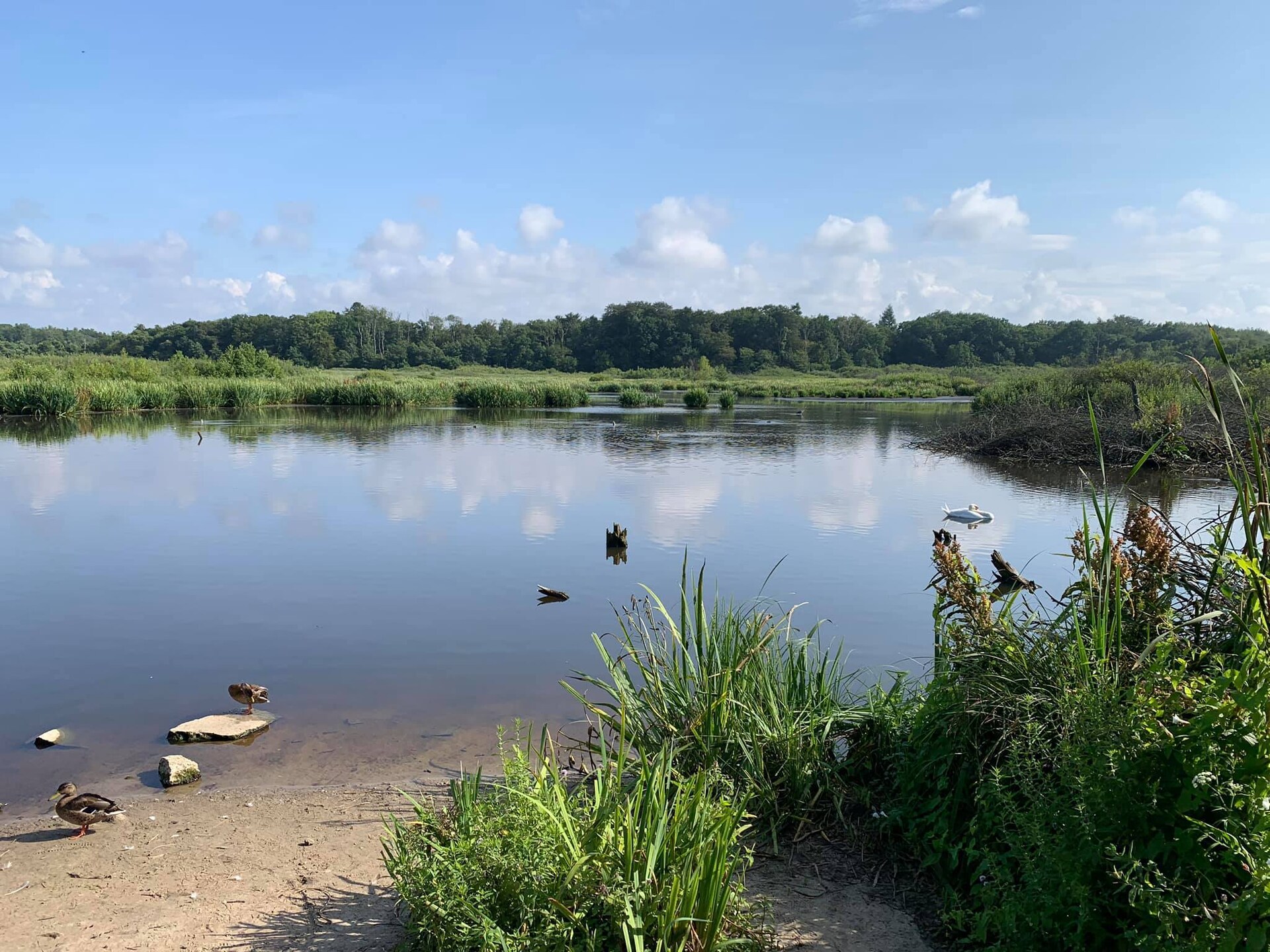 Knus jaar-rond huisje voor 2 in het bos bij zee, Ustronie Morskie - foto 17
