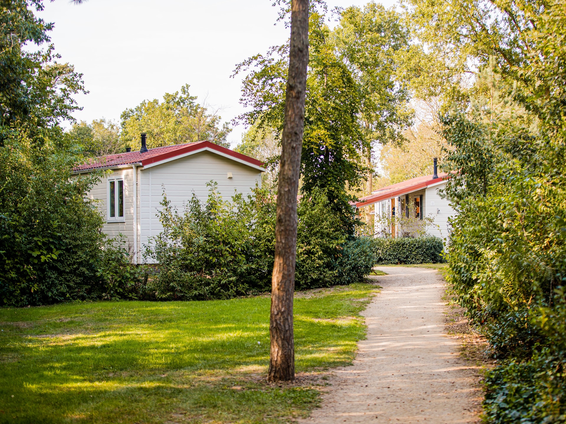 Knus chalet aan het Leukermeer voor 2 personen met hond - foto 16