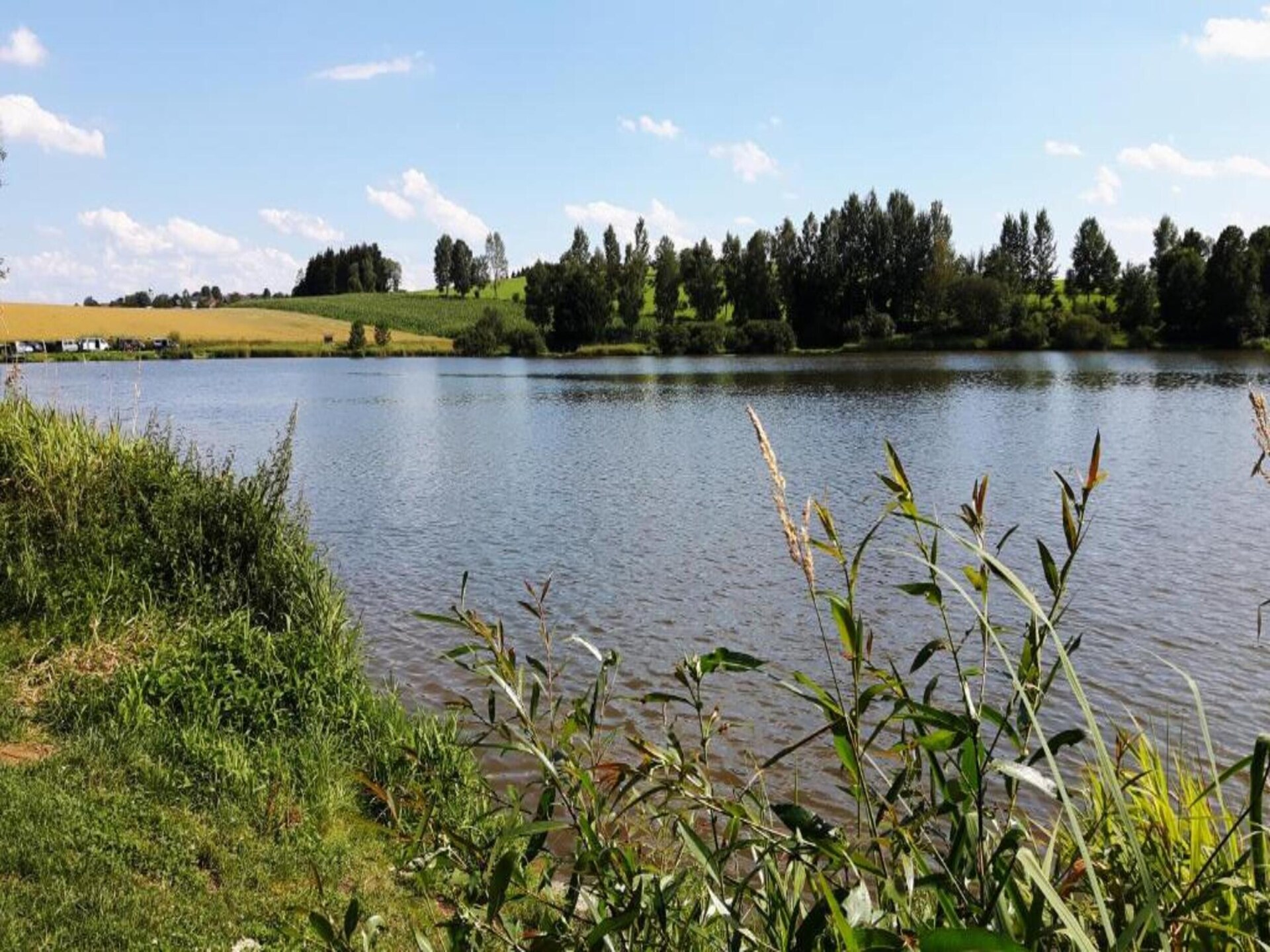 Vrijstaand boshuisje in Altenfeld, 3 km van skilift en centrum - foto 37