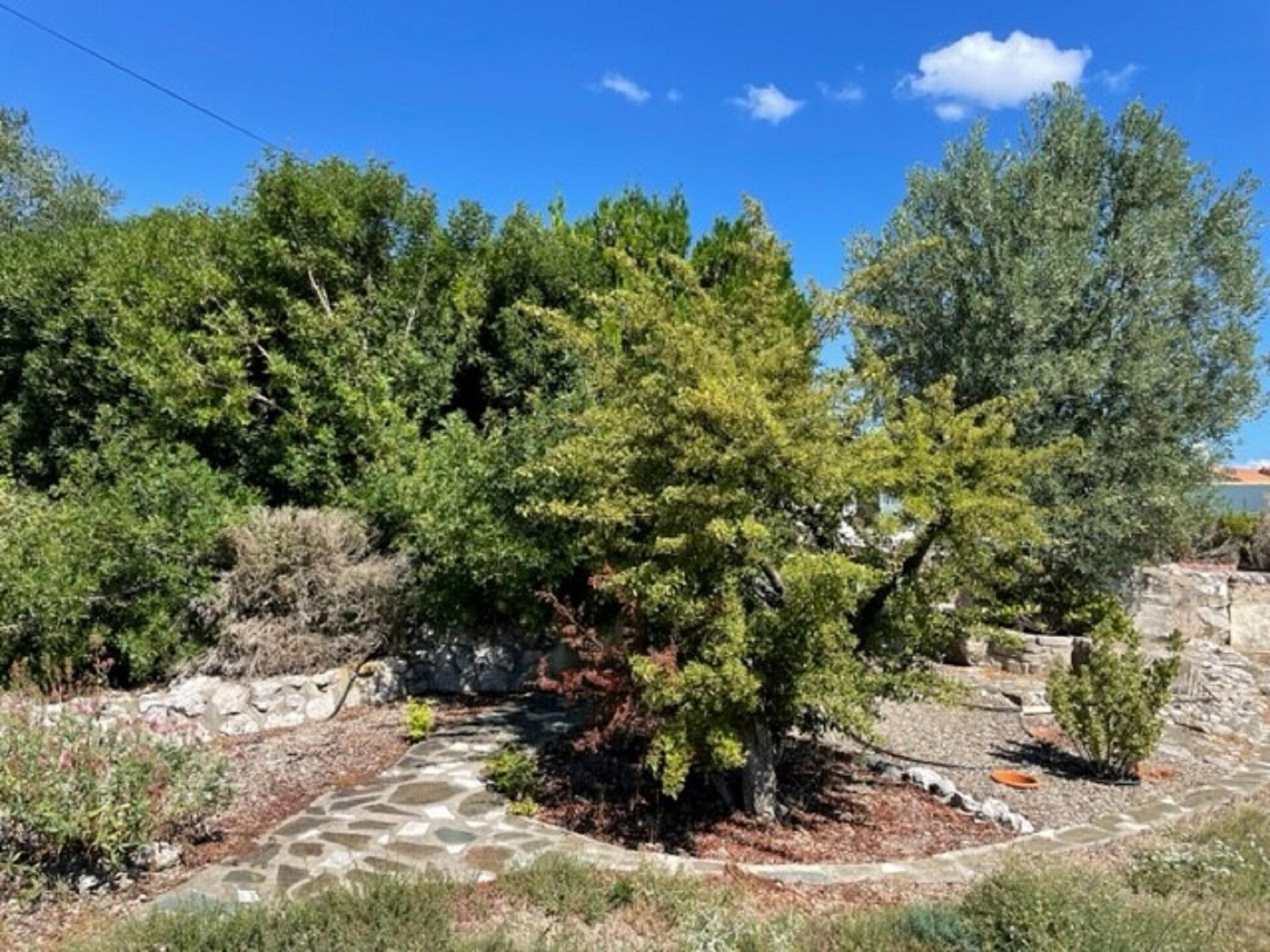 Vista d'Oc: Luxe villa met privézwembad en panoramisch uitzicht op de Minervois - foto 14