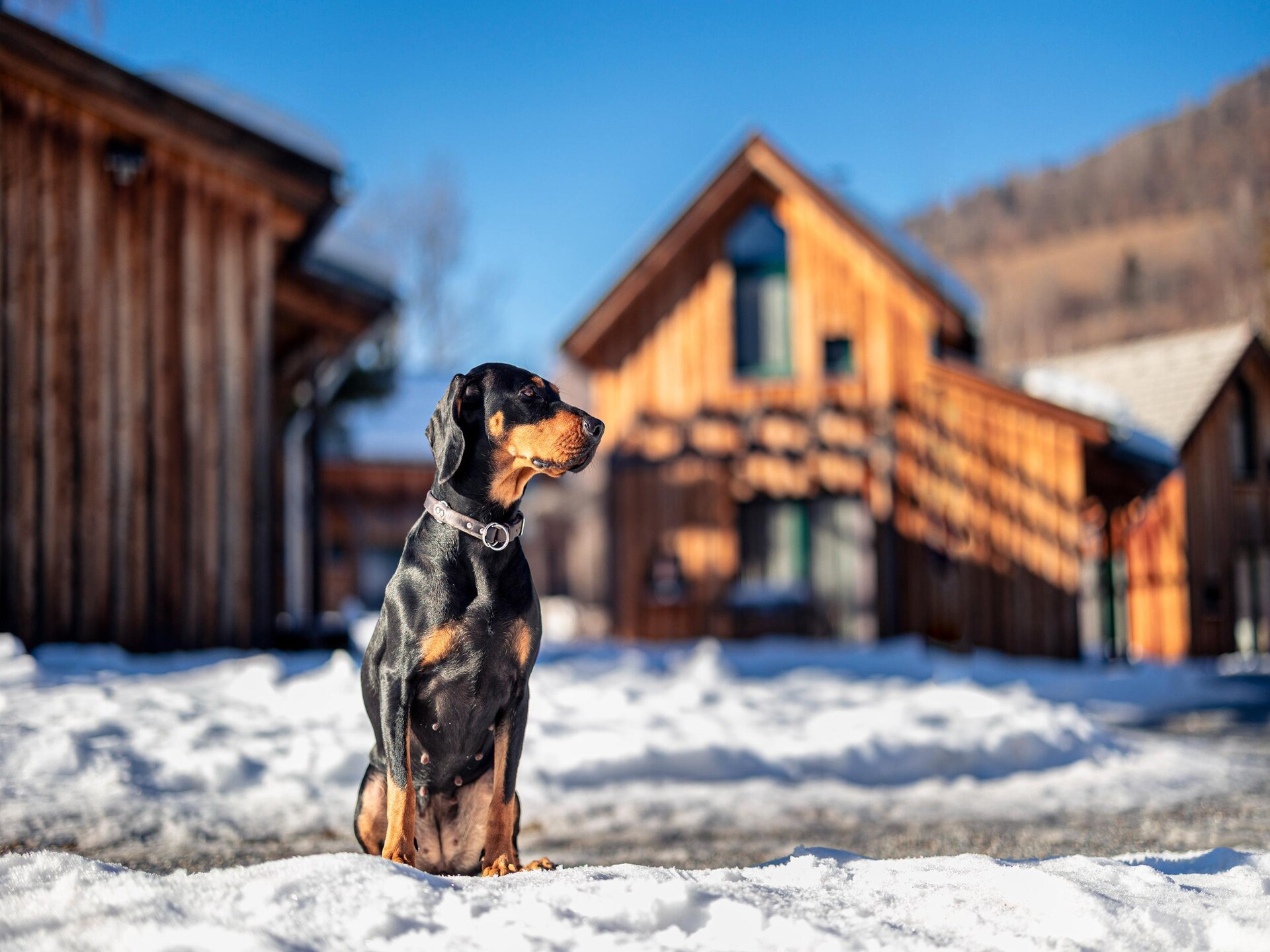 4-persoons appartement aan de piste in Kreischberg Murau - foto 28