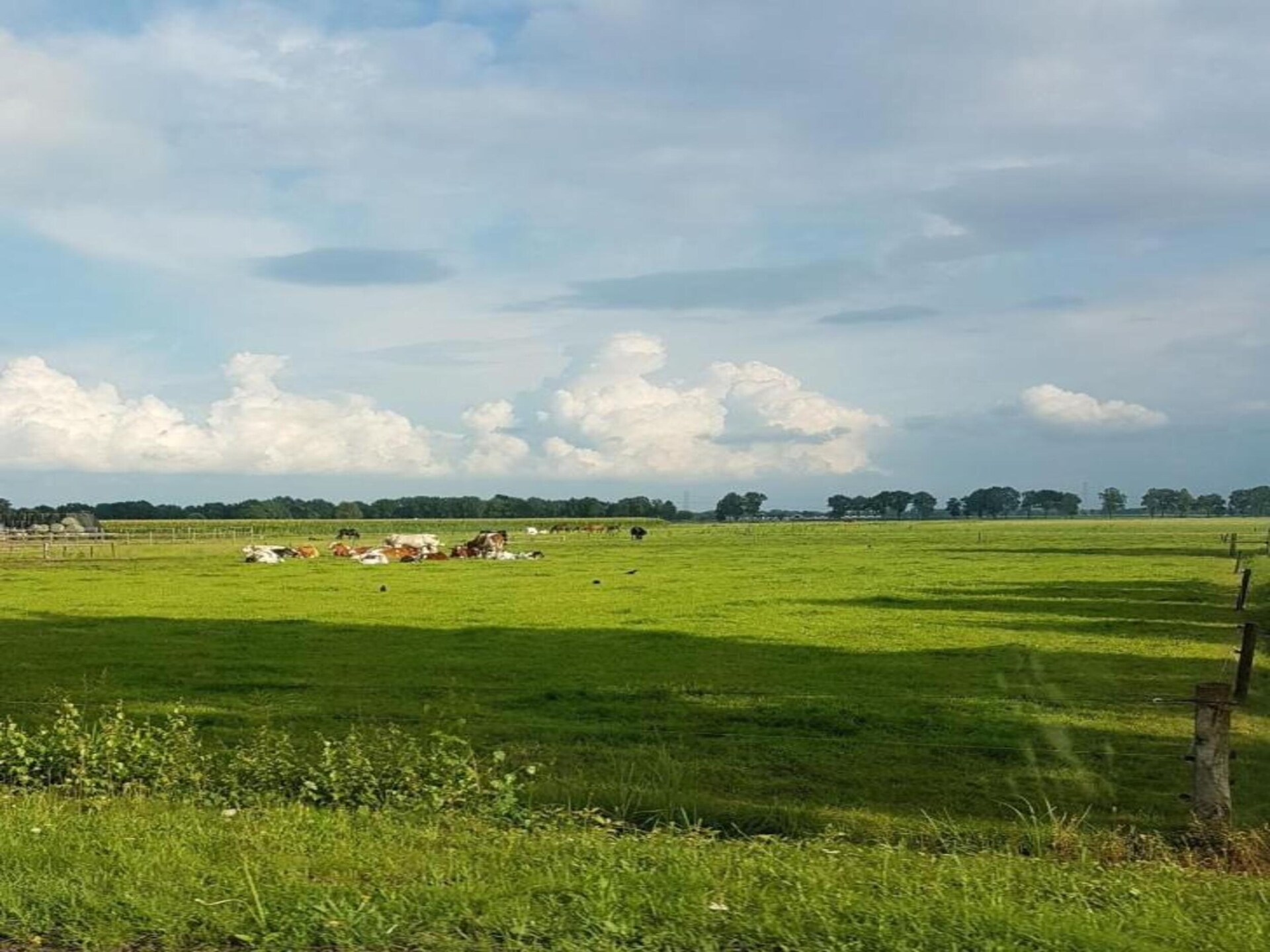 Luxe tentlodge op rustig vakantiepark in het Overijsselse Vechtdal - foto 36