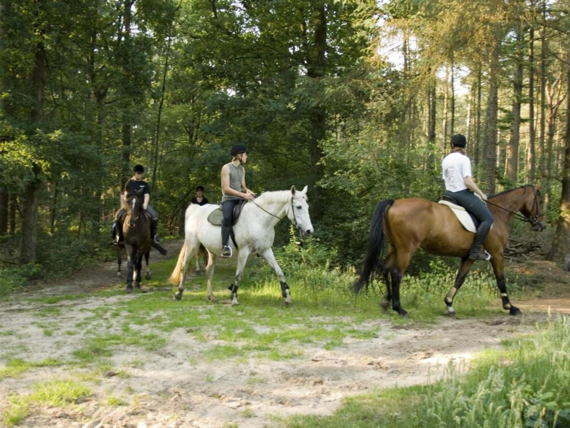 Luxe tentlodge op rustig vakantiepark in het Overijsselse Vechtdal - foto 24