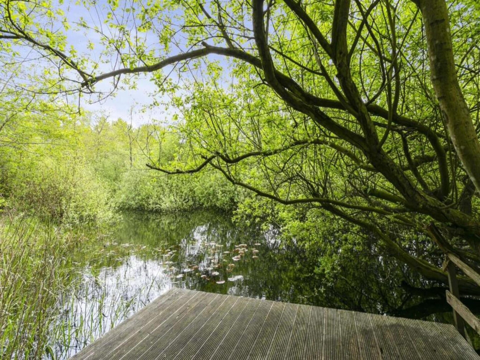 Luxe tentlodge op rustig vakantiepark in het Overijsselse Vechtdal - foto 21