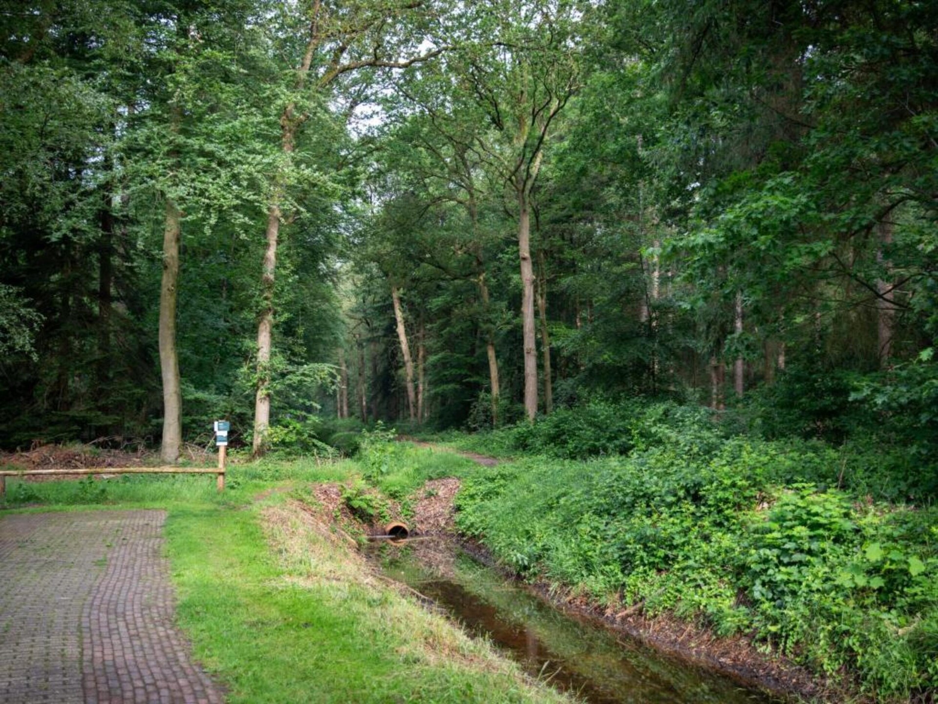Luxe glampingtent in Dalfsen: comfort van thuis in de natuur - foto 21