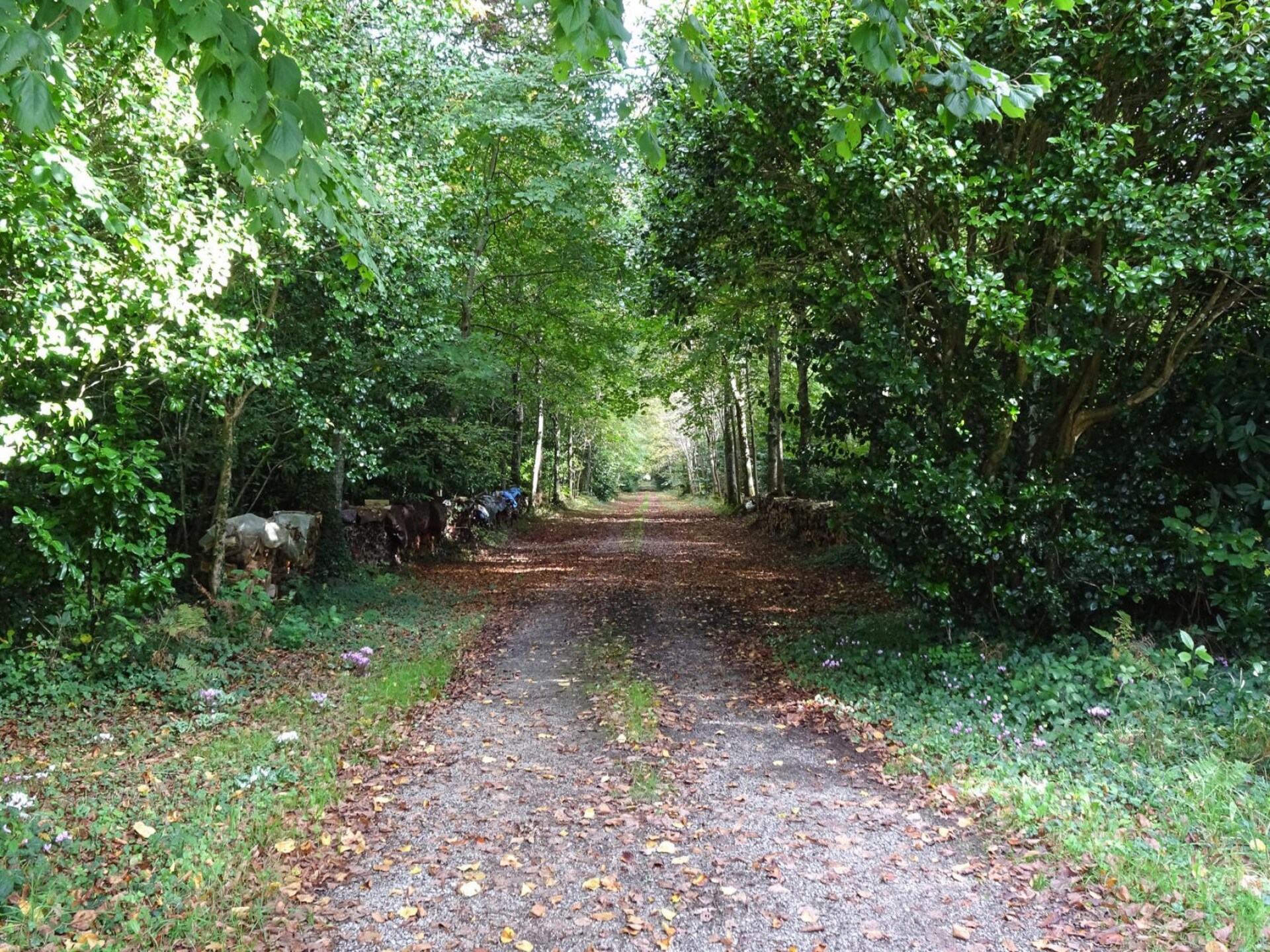Vakantiehuis in Bénodet: op 1,0 km van het centrum - foto 17