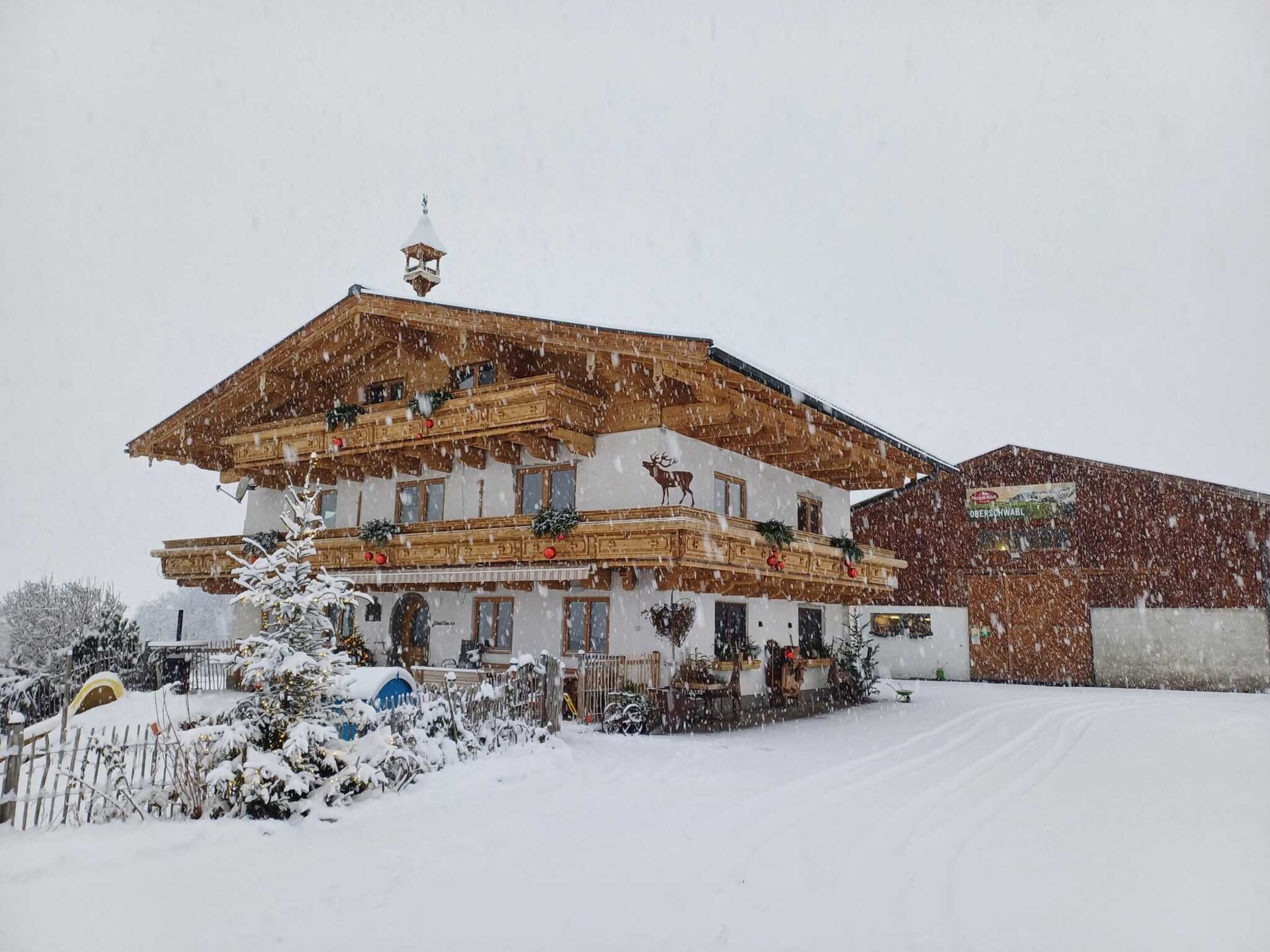 Ruim 6-persoons appartement op biologische boerderij in Saalfelden - foto 38