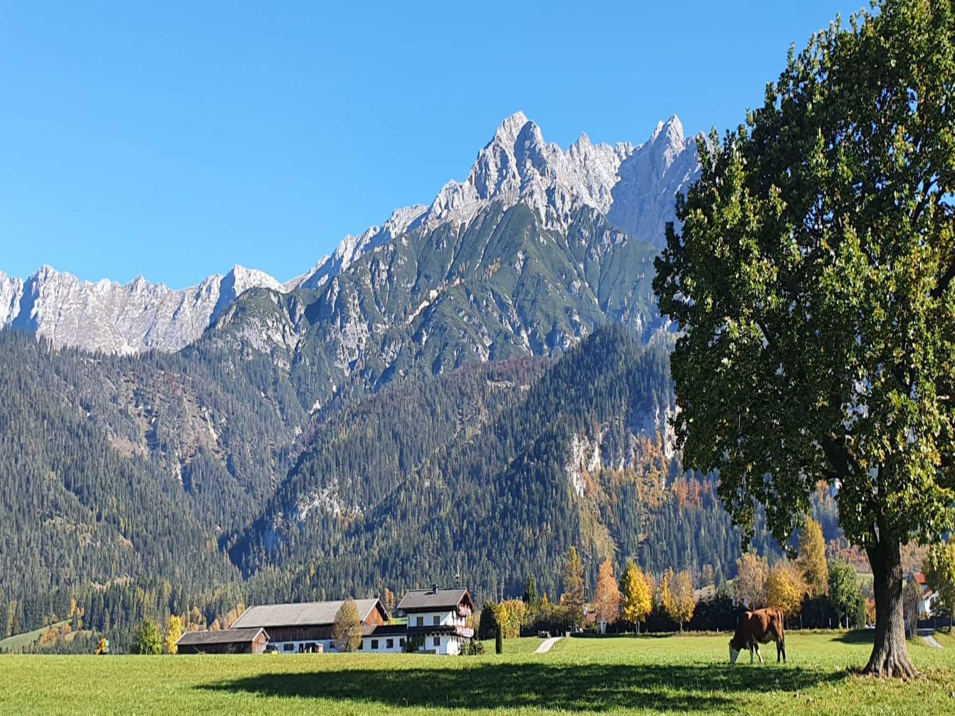 8-persoons vakantiehuis aan de piste in Saalfelden - foto 25