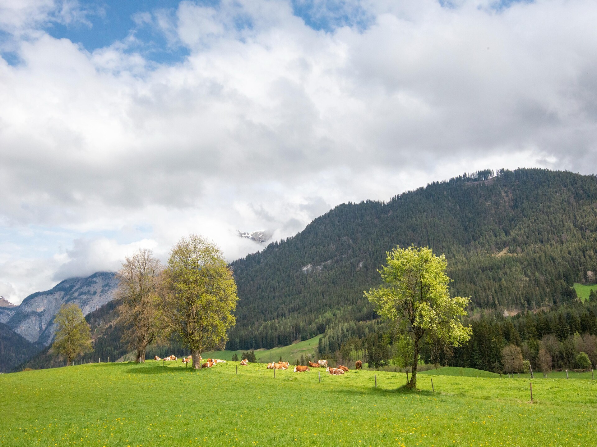 8-persoons vakantiehuis aan de piste in Saalfelden - foto 26