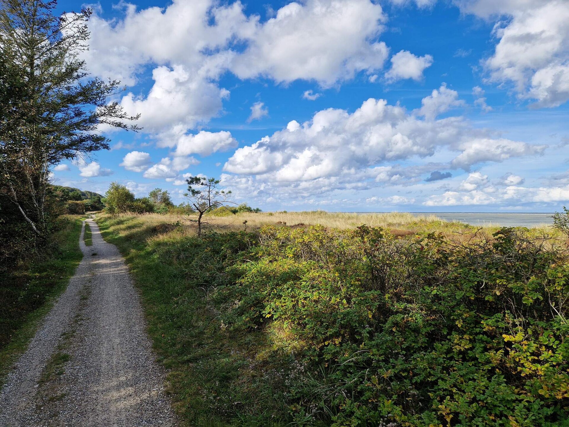 6-persoons vakantiehuis in Grenaa op 400 m van zee - foto 18