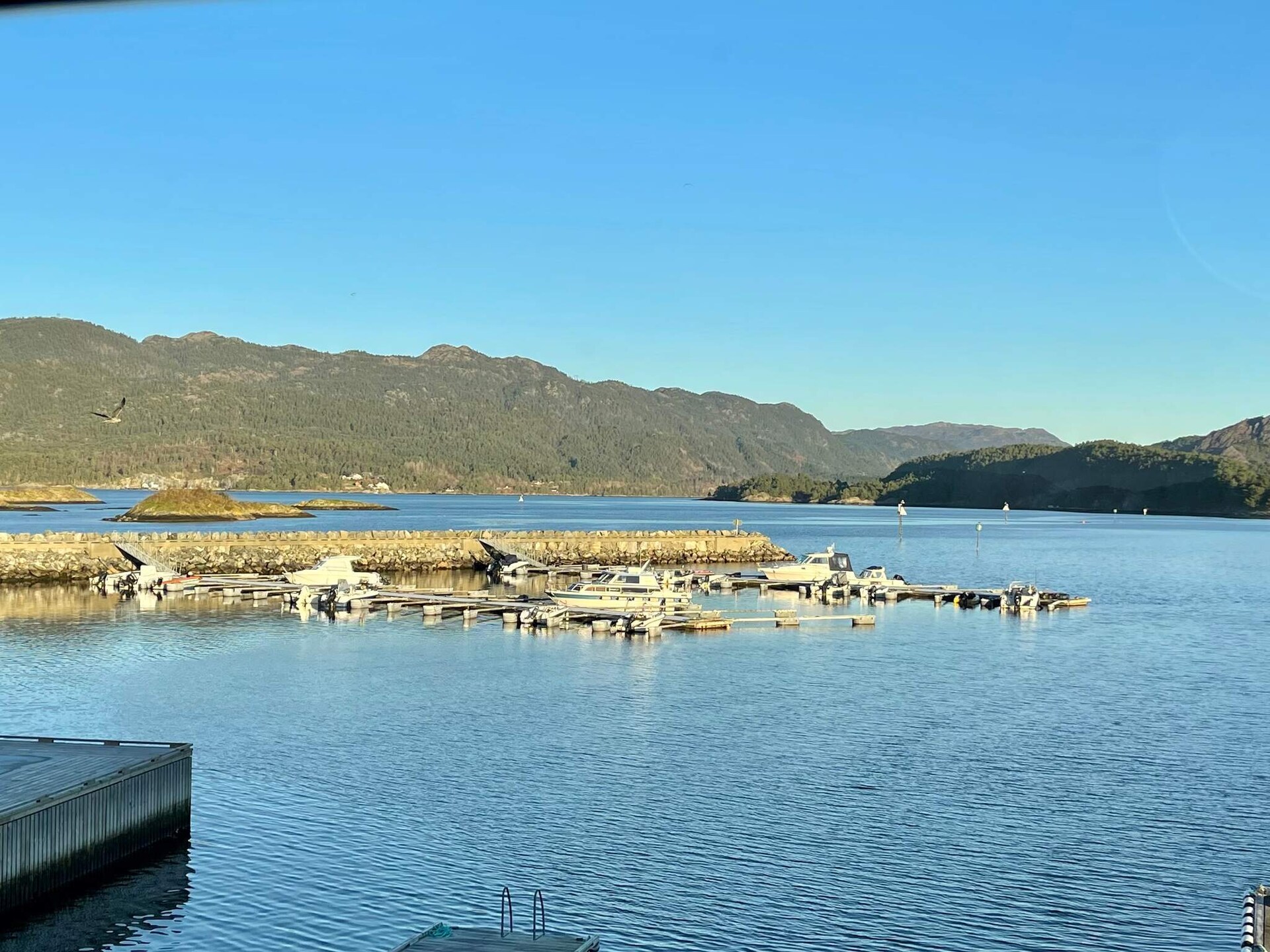 Luxe vissershuis op Huglo: panoramisch fjordzicht, 4 slaapkamers en privé-steiger - foto 47