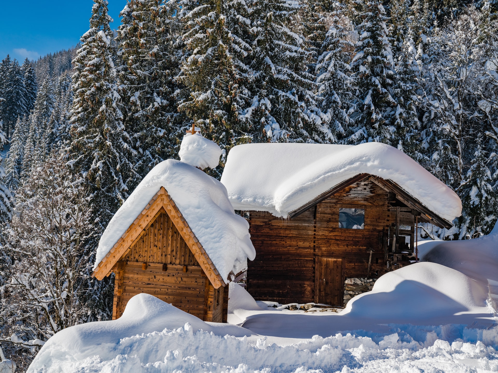 Oberholzlehen Hütte: Authentieke berghut voor 10 personen in Hollersbach - foto 24