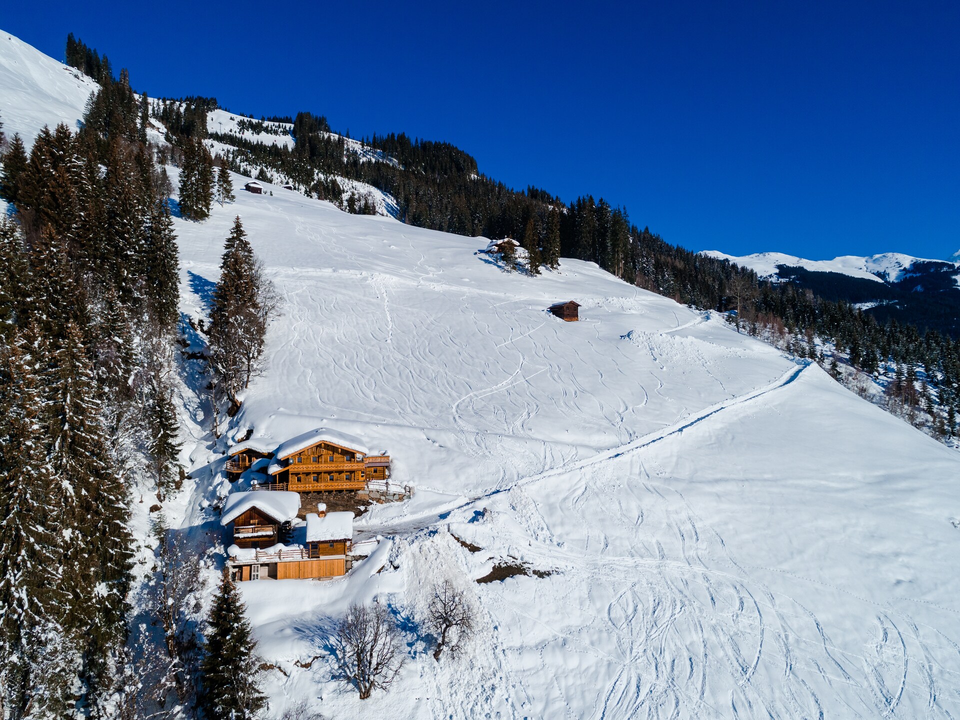Oberholzlehen Hütte: Authentieke berghut voor 10 personen in Hollersbach - foto 25