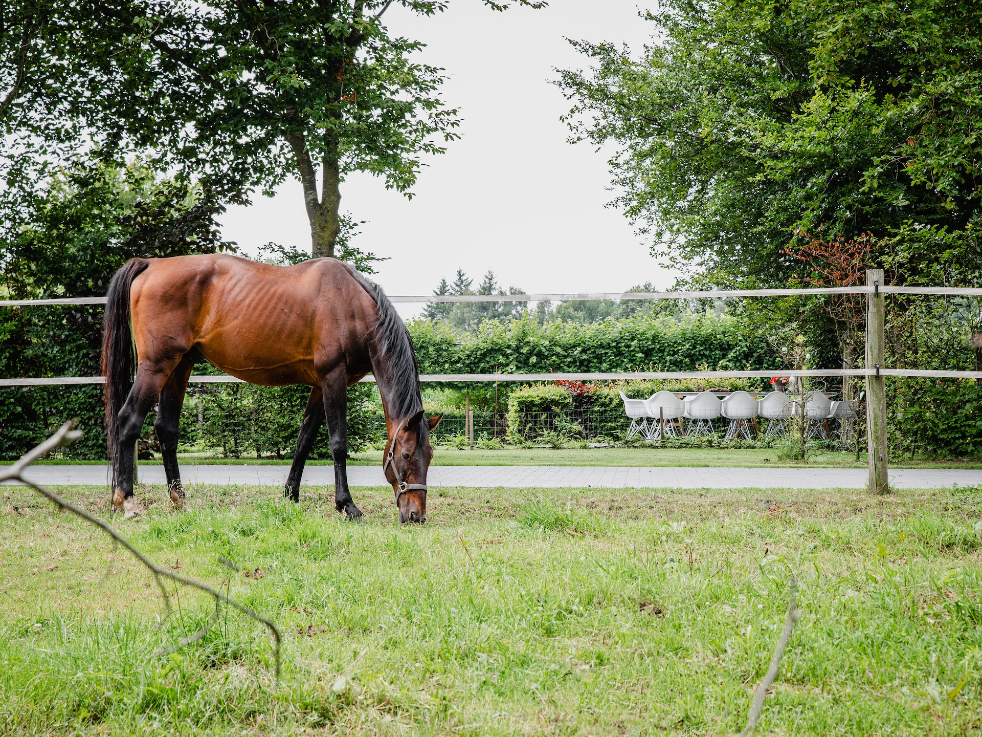 Dorpswoning De Volbloed – Luxe groepsaccommodatie in bosrijk Leende - foto 36