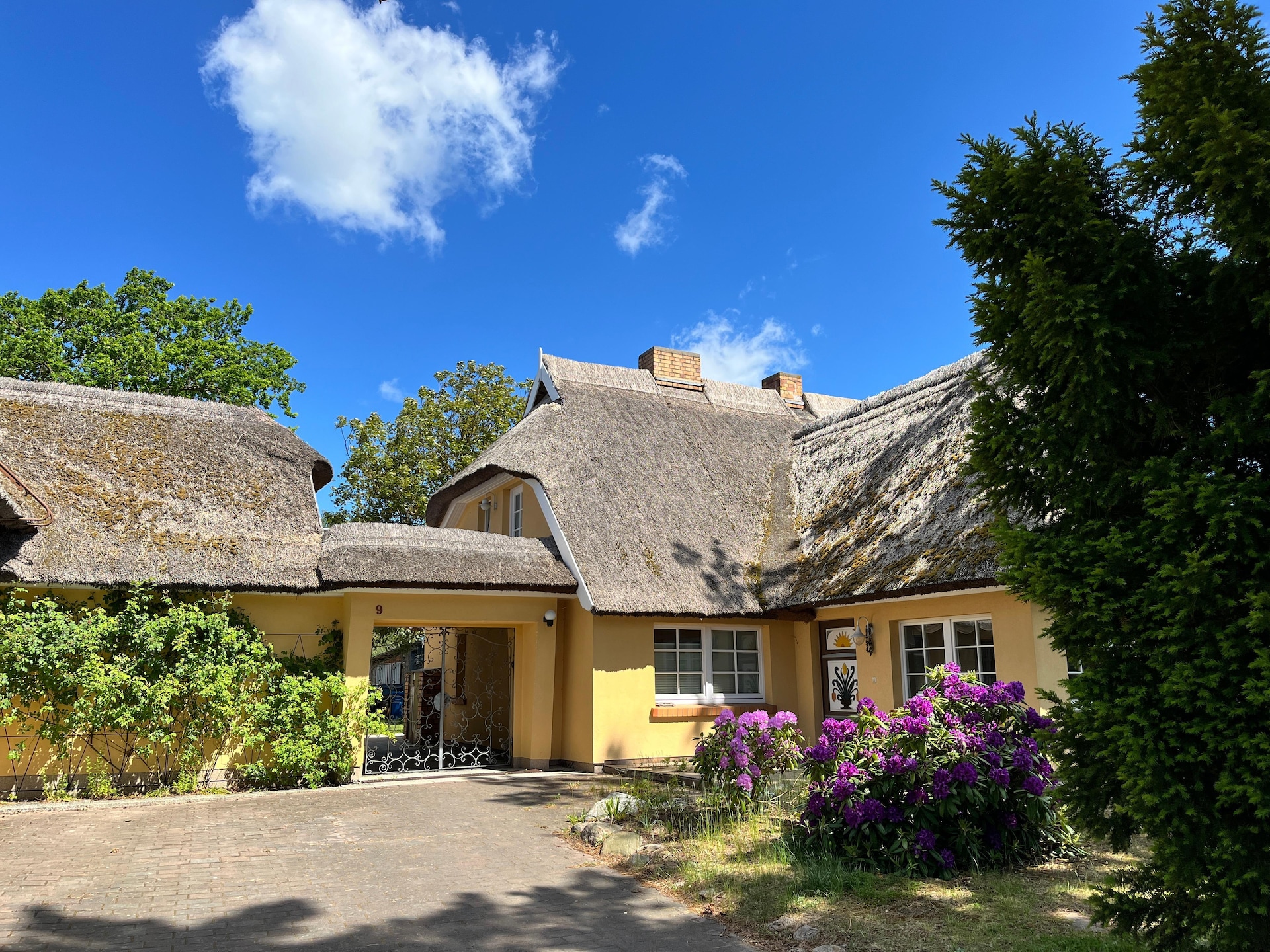 Op 1,0 km van het meer: luxe appartement in Wieck am Darß · 2 pers. - foto 1