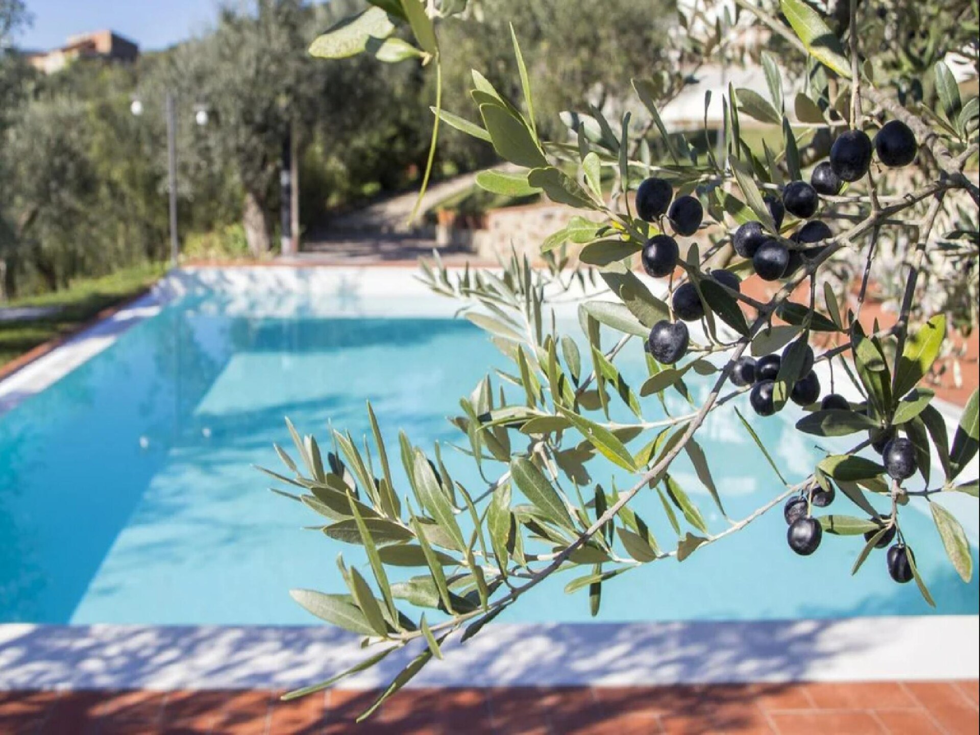 Gelijkvloers appartement aan golfbaan met panoramisch uitzicht op Toscane - foto 16