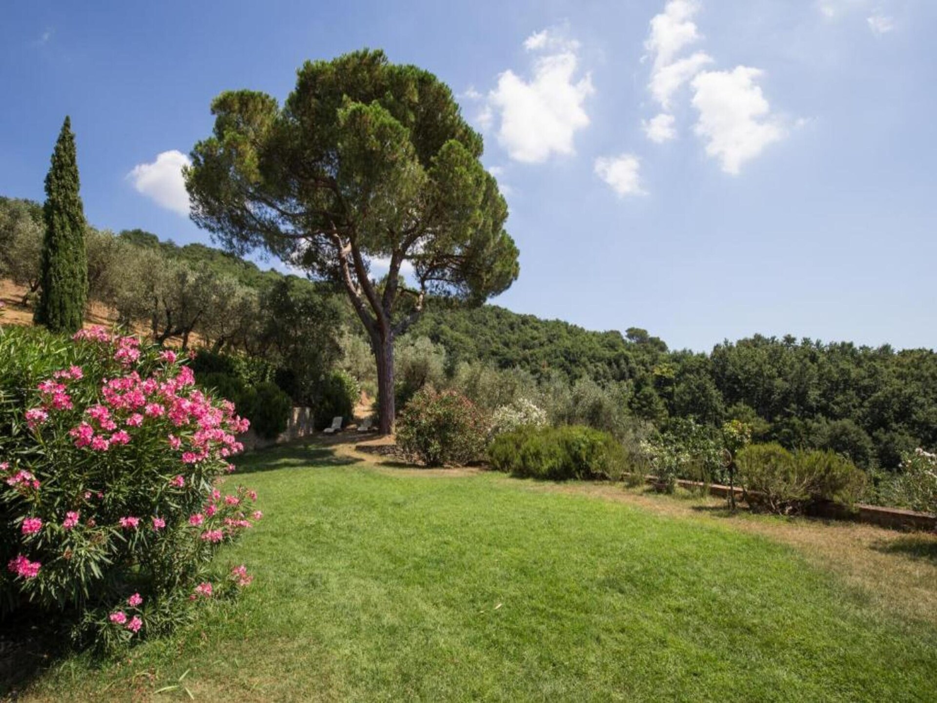 Gelijkvloers appartement aan golfbaan met panoramisch uitzicht op Toscane - foto 32