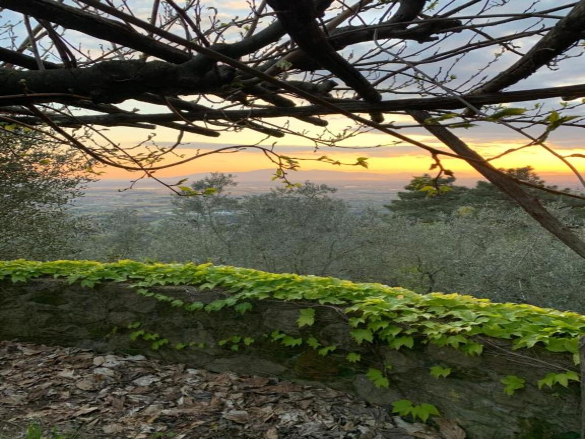 Gelijkvloers appartement aan golfbaan met panoramisch uitzicht op Toscane - foto 33