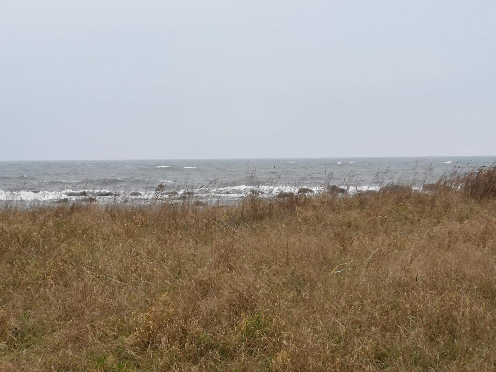 Knus Zweeds vakantiehuisje aan de golfbaan, 600m van zee en strand in Åhus - foto 18