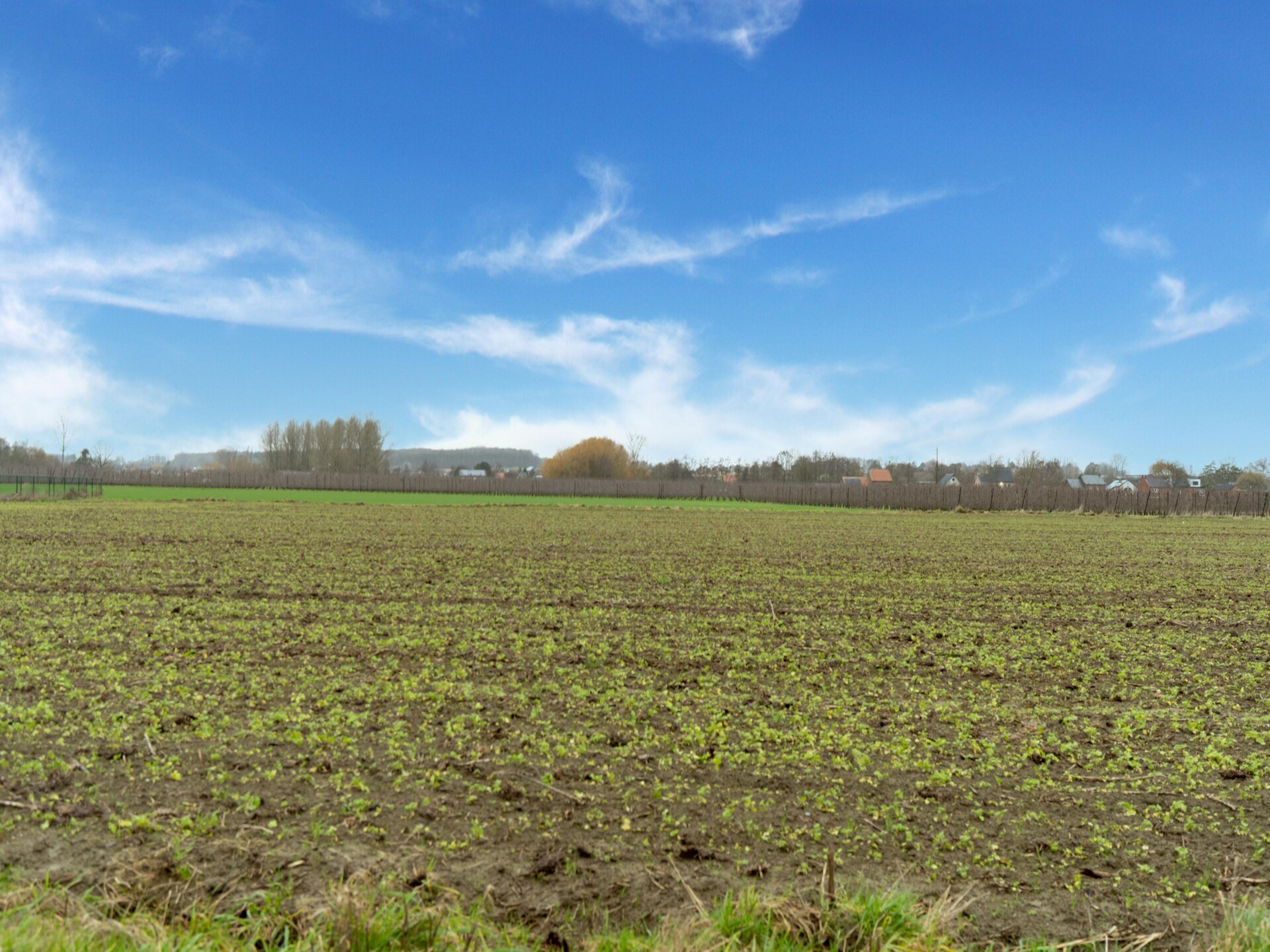 Landelijk vakantiehuis met privézwembad nabij Sint-Truiden - foto 31