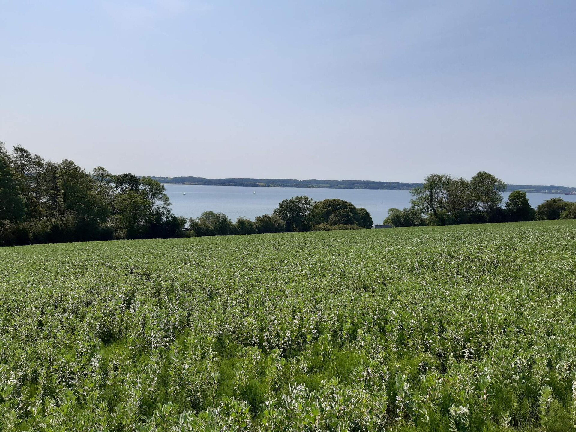 Vrijstaand vakantiehuis aan de golfbaan, op 530m van het strand in Aabenraa - foto 4