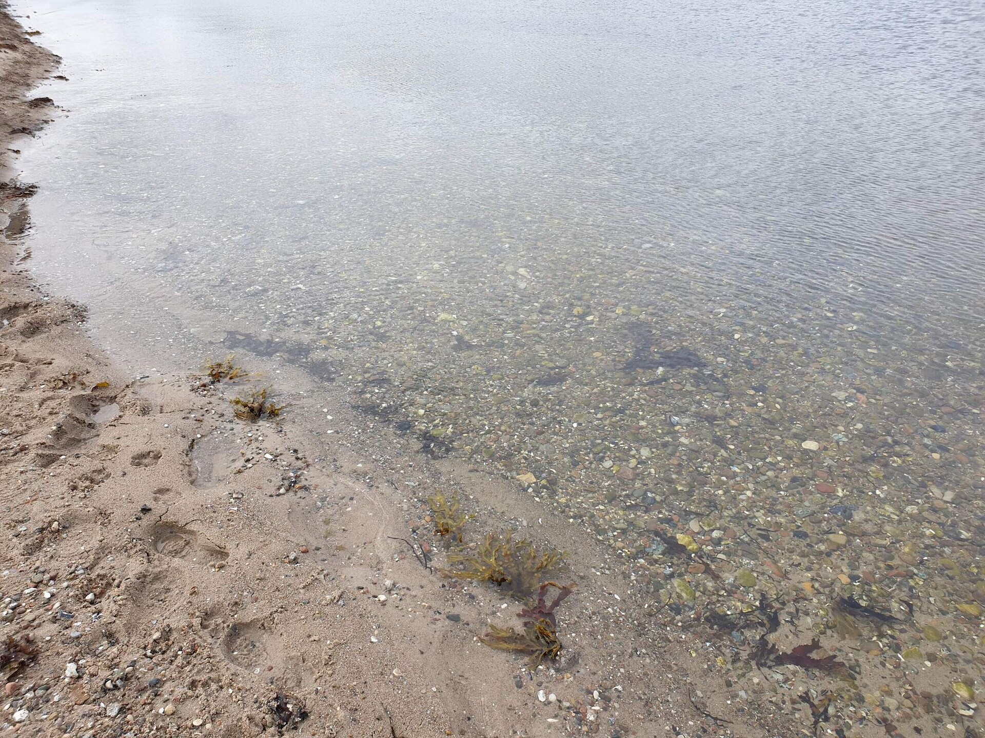 Vrijstaand vakantiehuis aan de golfbaan, op 530m van het strand in Aabenraa - foto 14