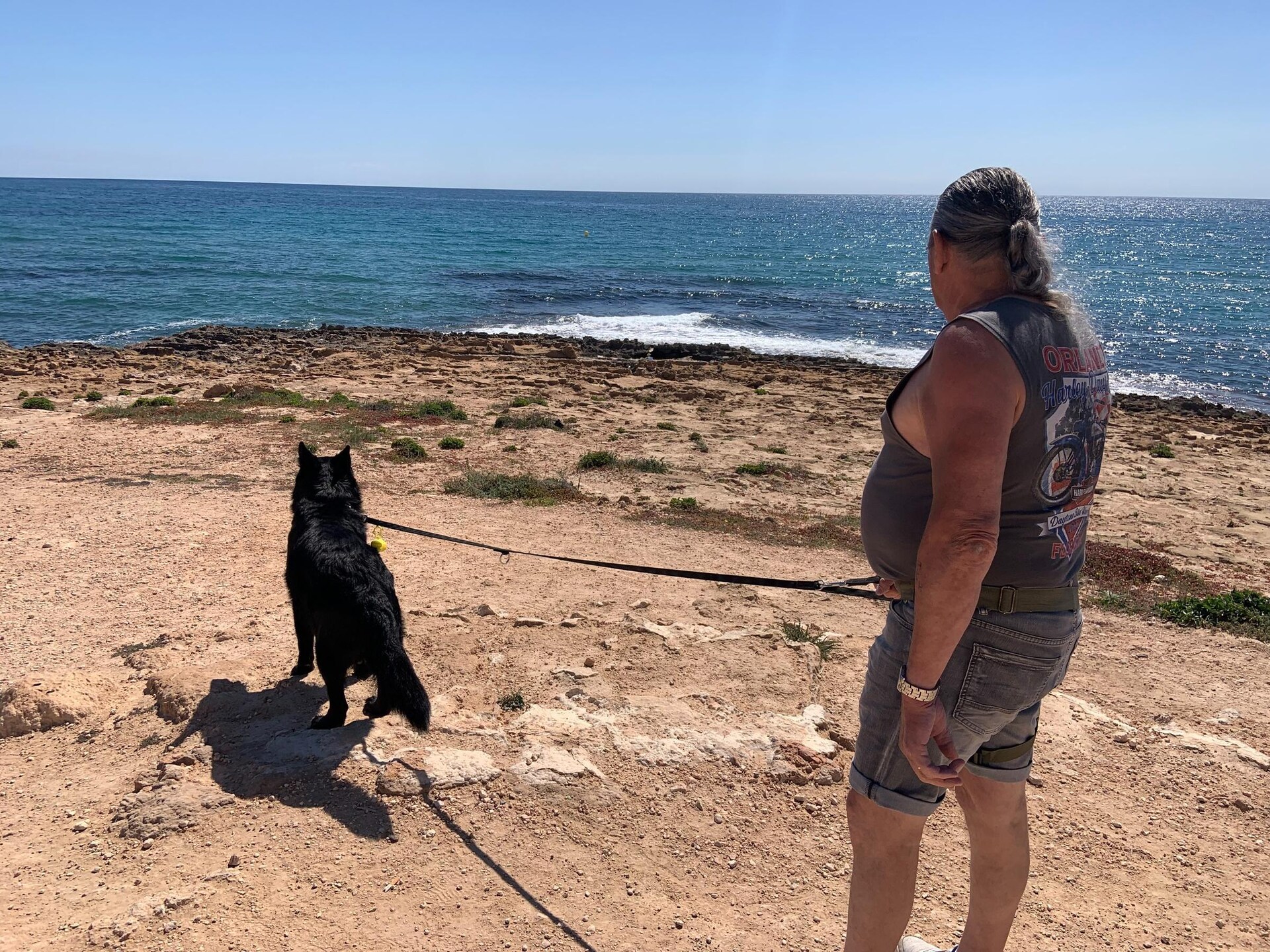 Vrijstaande bungalow met gedeeld zwembad op 3 km van het strand in Torrevieja - foto 36