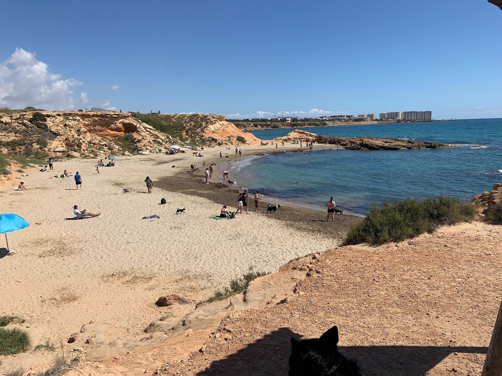 Vrijstaande bungalow met gedeeld zwembad op 3 km van het strand in Torrevieja - foto 35