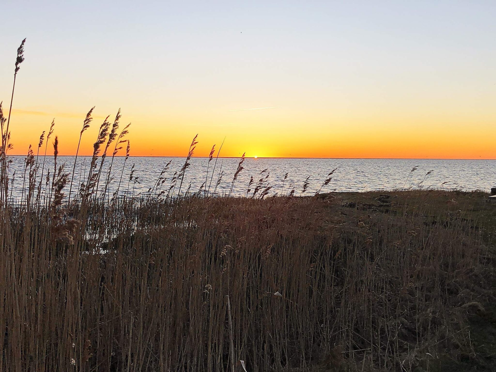 Gerenoveerd vakantiehuis bij Als Odde met whirlpool, vlakbij de fjord - foto 15
