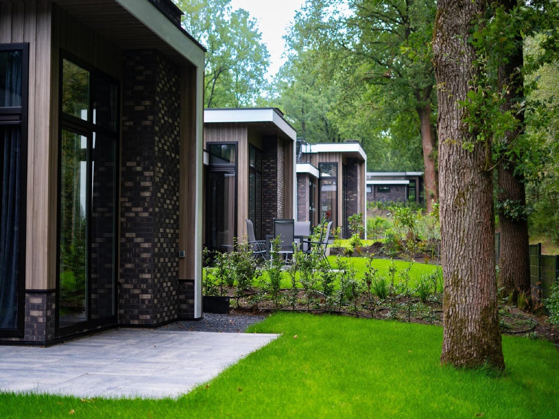 Vrijstaand vakantiehuis met dakterras op De Veluwe, 6 pers. - foto 7