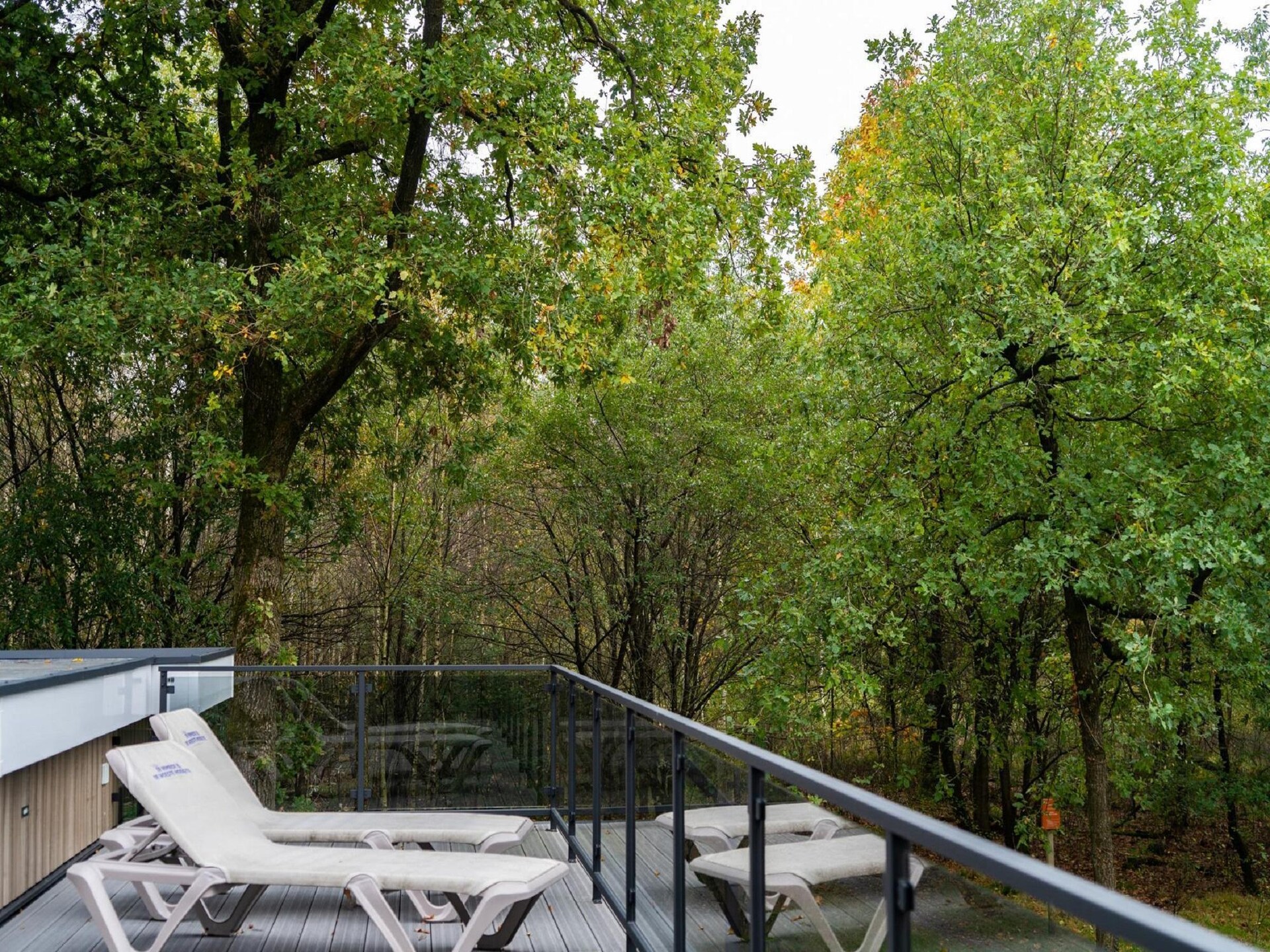 Vrijstaand vakantiehuis met dakterras op De Veluwe, 6 pers. - foto 5