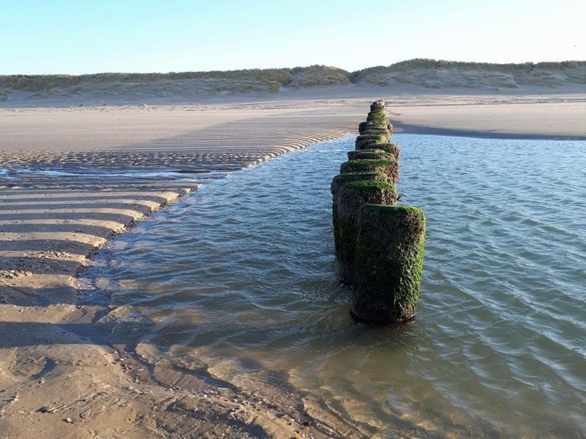 Golfvilla 39 Wellness: Luxe vakantiehuis aan de golfbaan op Ameland - foto 29
