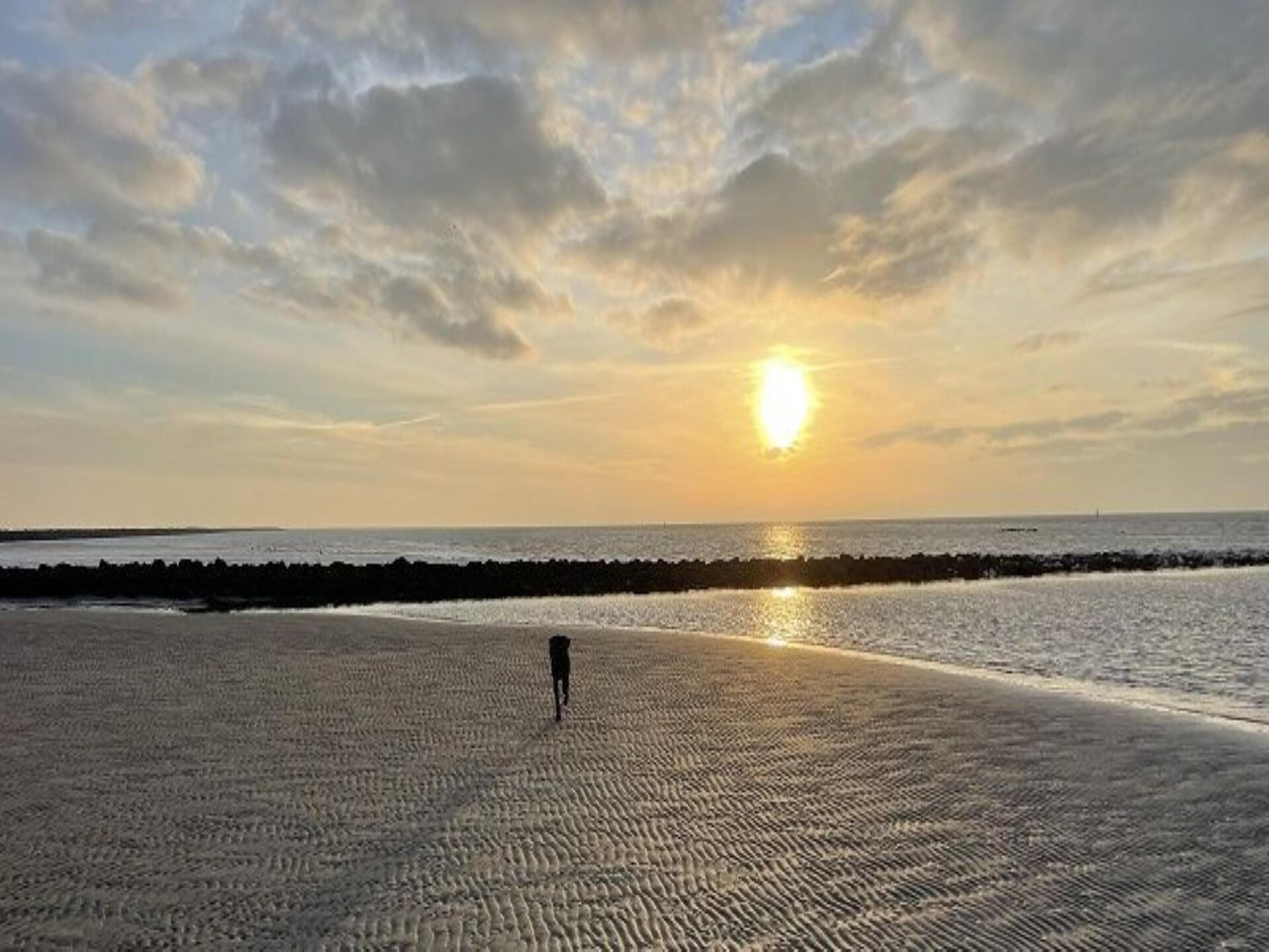 Golfvilla 39 Wellness: Luxe vakantiehuis aan de golfbaan op Ameland - foto 33