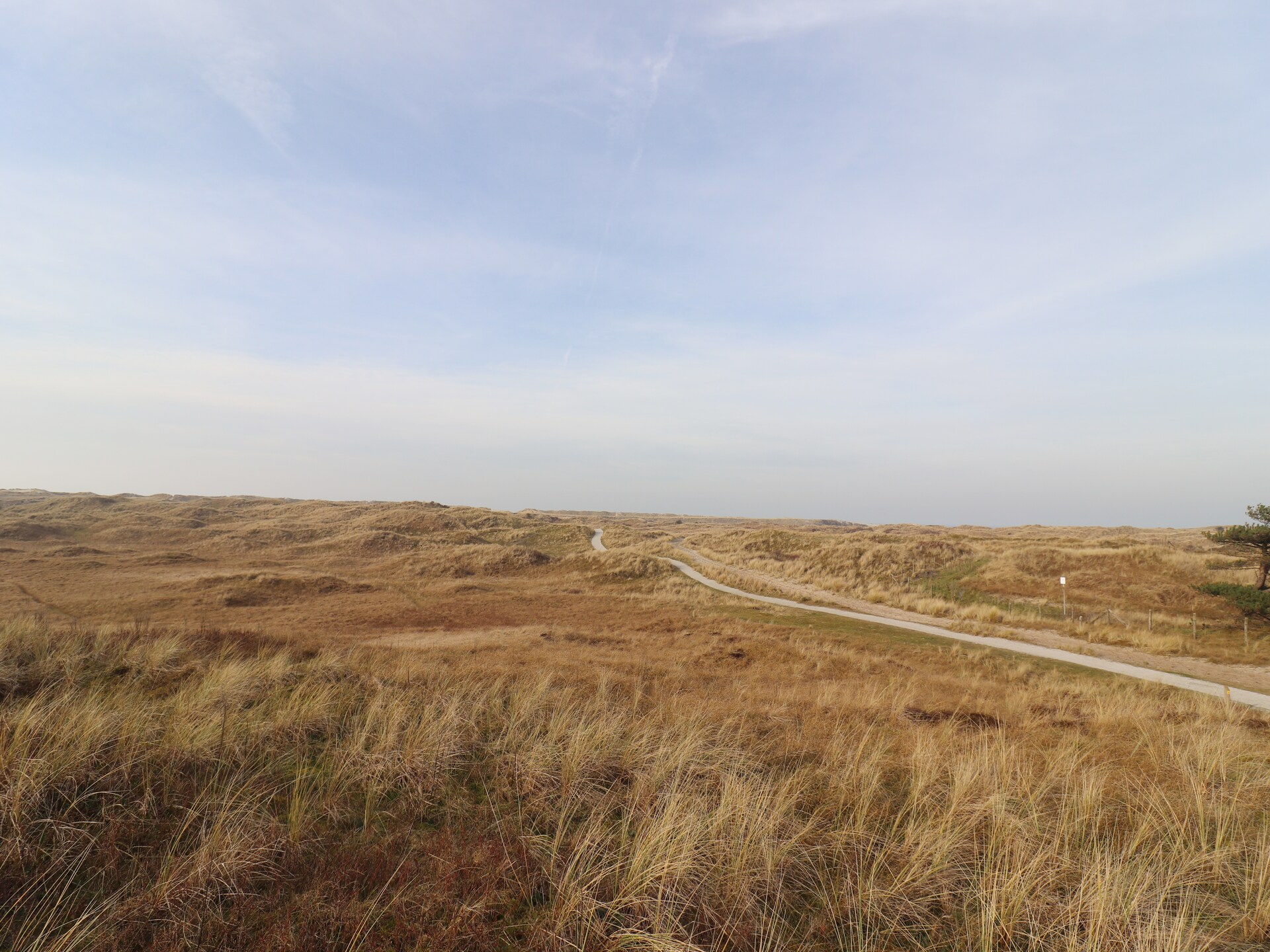 Golfvilla 39 Wellness: Luxe vakantiehuis aan de golfbaan op Ameland - foto 31