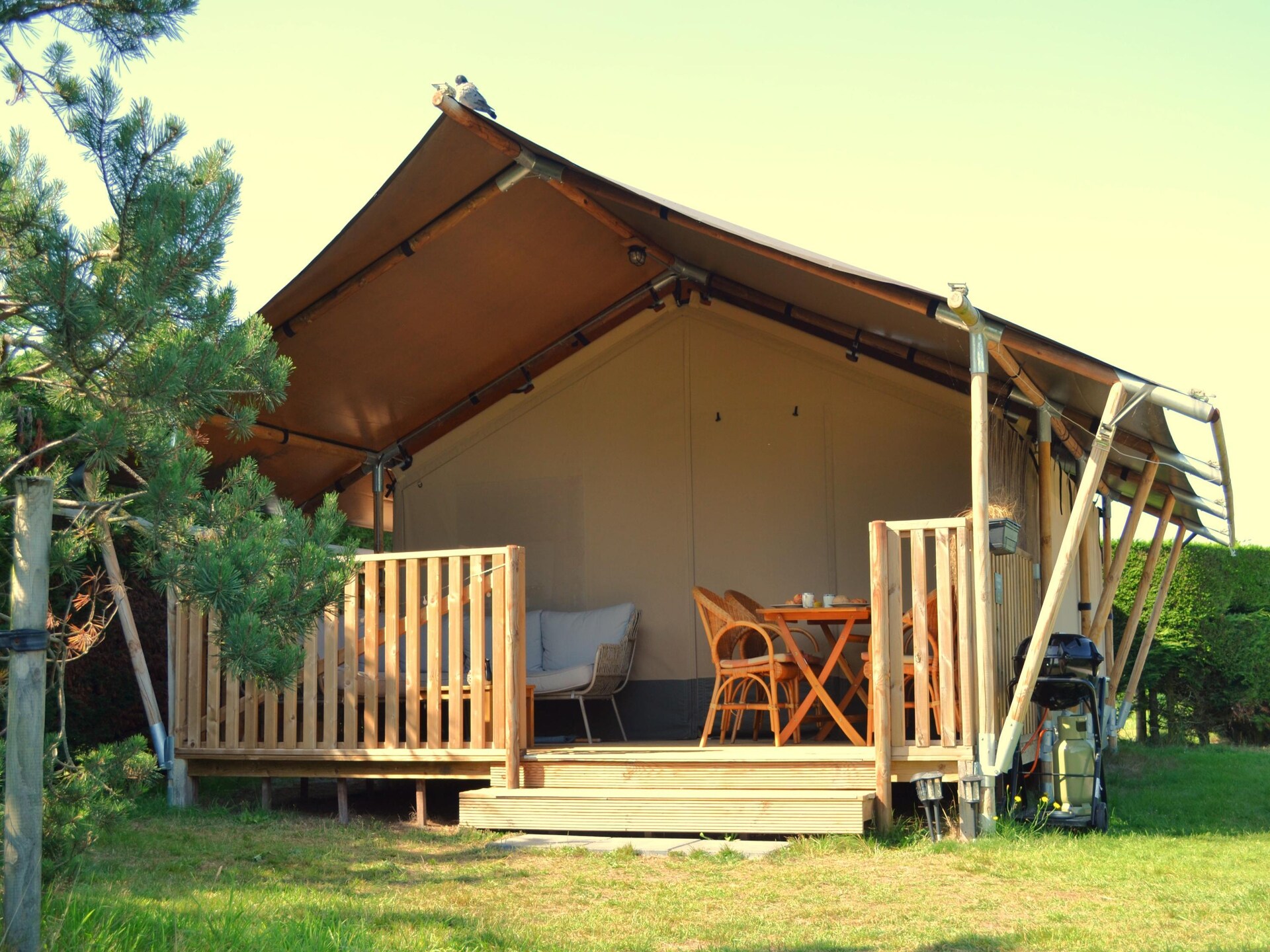 Luxe safaritent met uitzicht op golfbaan, dichtbij strand Hollum - foto 12