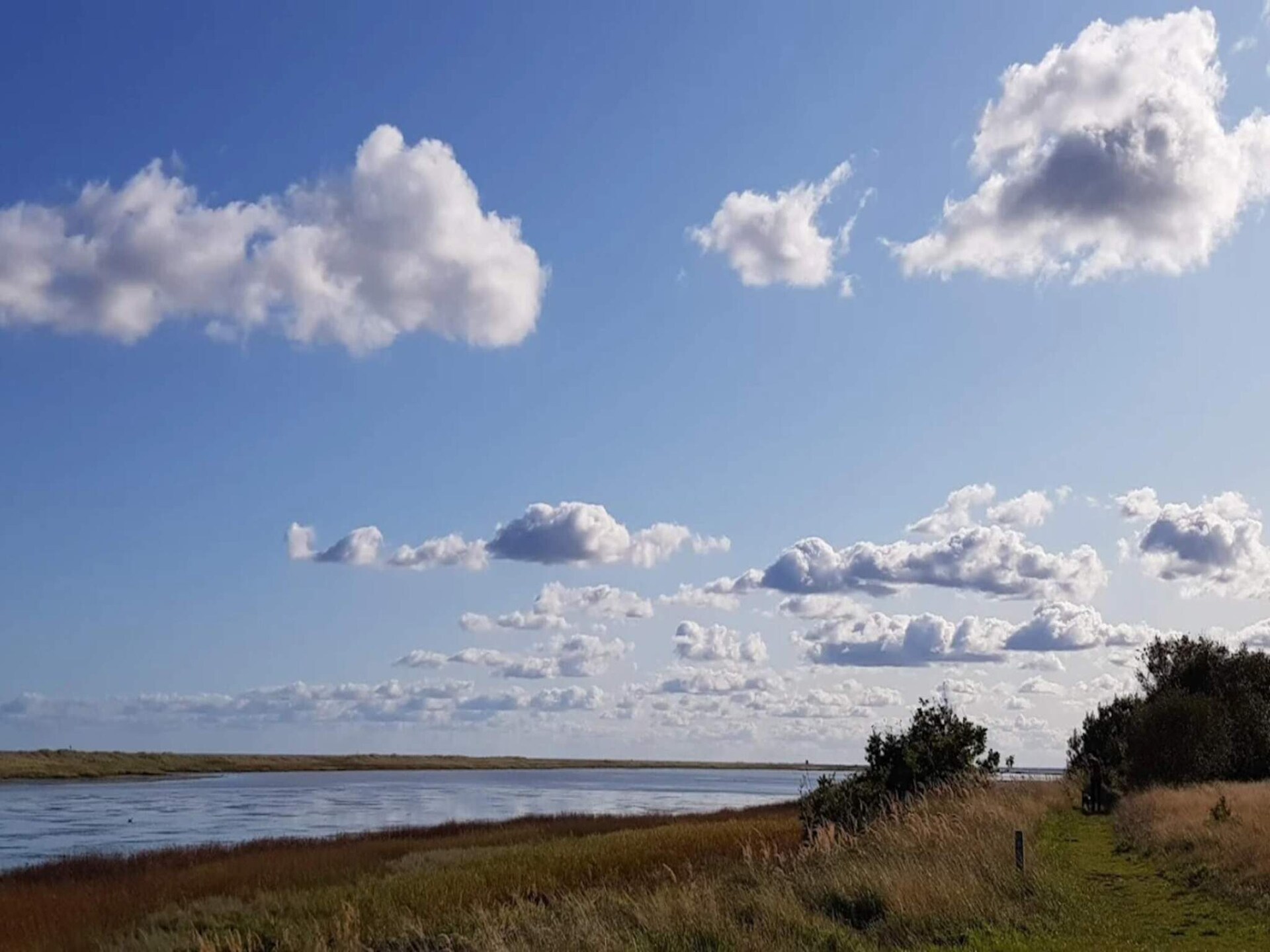 Knus vakantiehuis aan de golfbaan bij Hals, met laadpaal en moderne keuken - foto 20