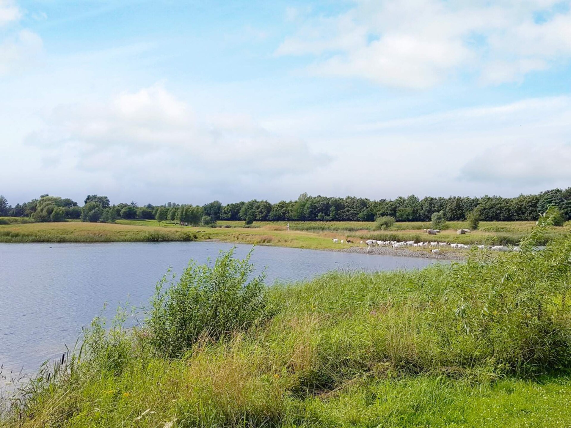 Aan het strand: Ruim vakantiehuis in Nysted voor 8 personen - foto 10