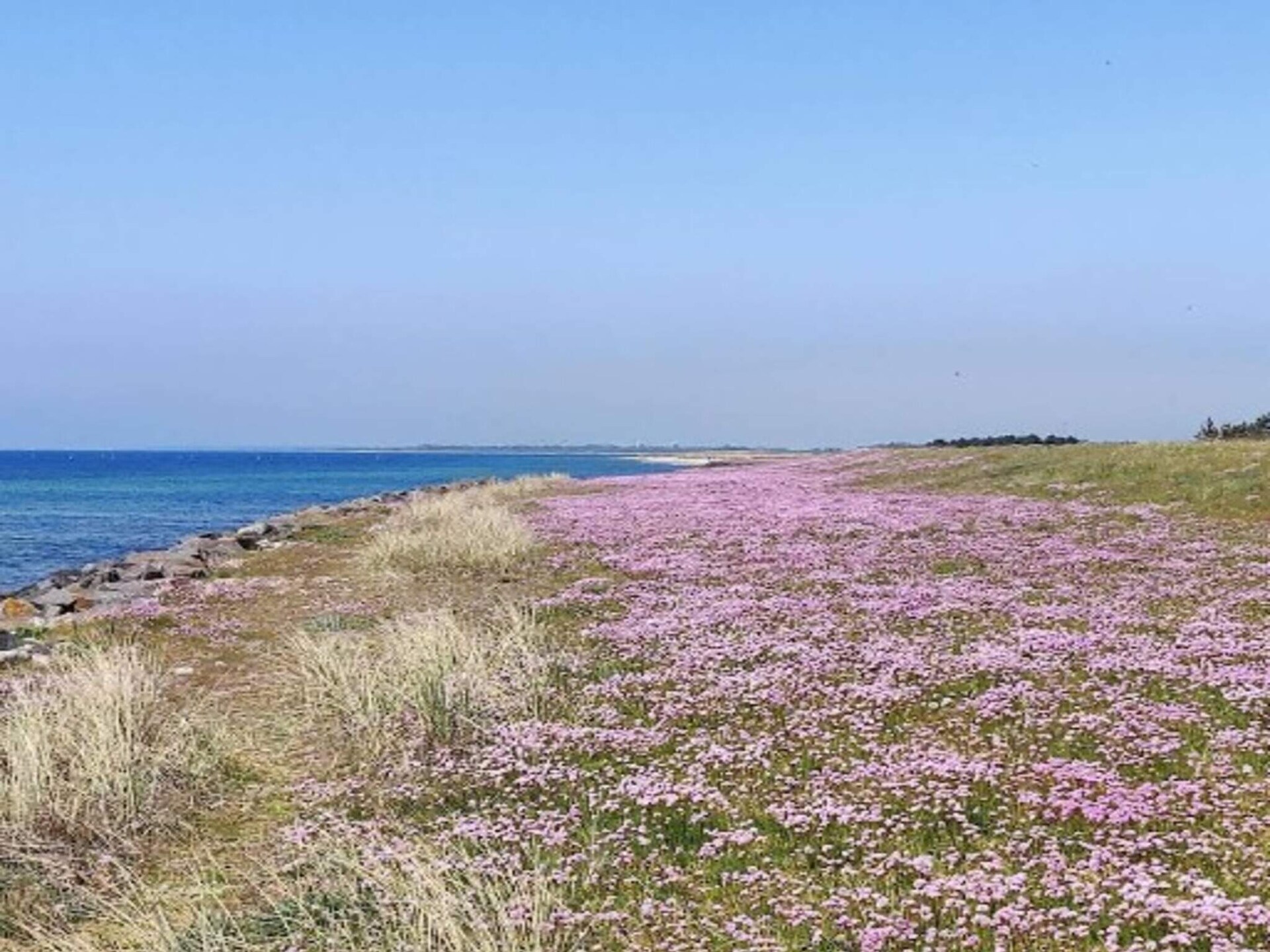 8-persoons vakantiehuis in Dannemare op 700 m van zee - foto 15