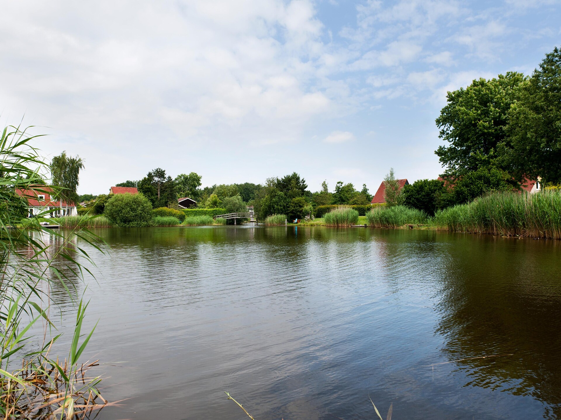 Wellness vakantiehuis met sauna aan het meer in Groningen voor 6 personen - foto 18