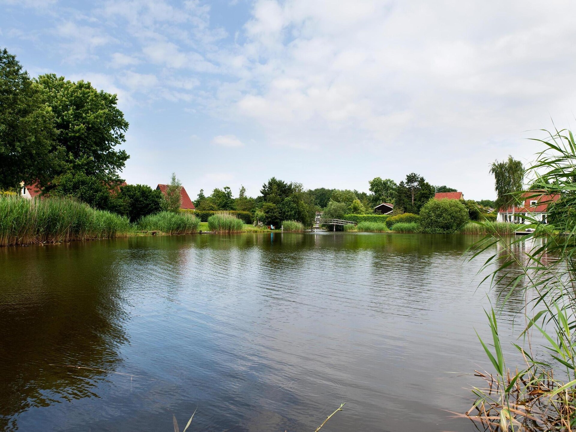 Wellness vakantiehuis met sauna aan het meer in Groningen voor 6 personen - foto 37