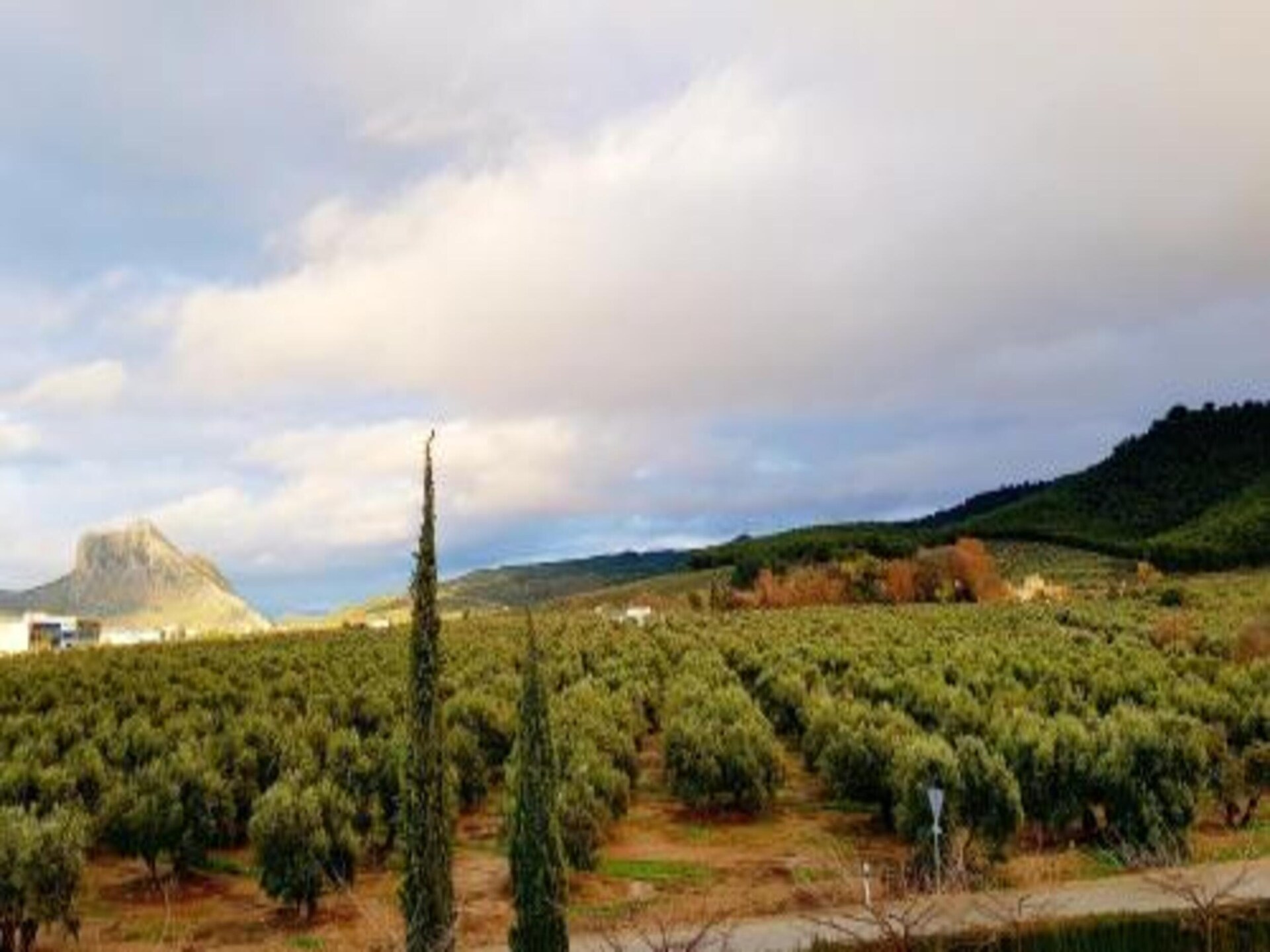 Romantisch vakantiehuis op ecologische finca met zwembad nabij Antequera - foto 26