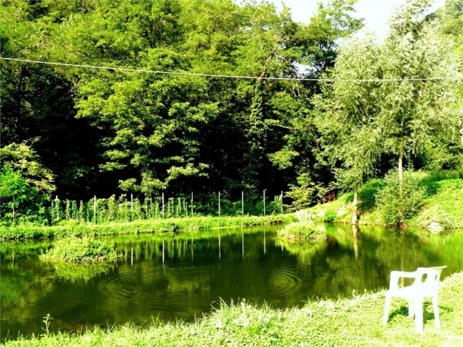 Authentiek kasteelappartement in Piëmont met tuin, vlakbij zee - foto 28