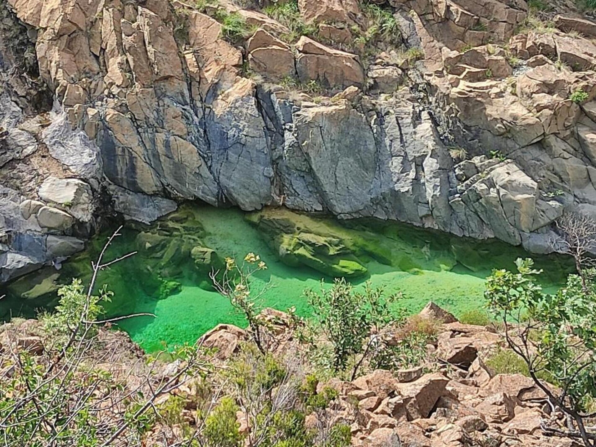 Authentiek kasteelappartement in Piëmont met tuin, vlakbij zee - foto 34