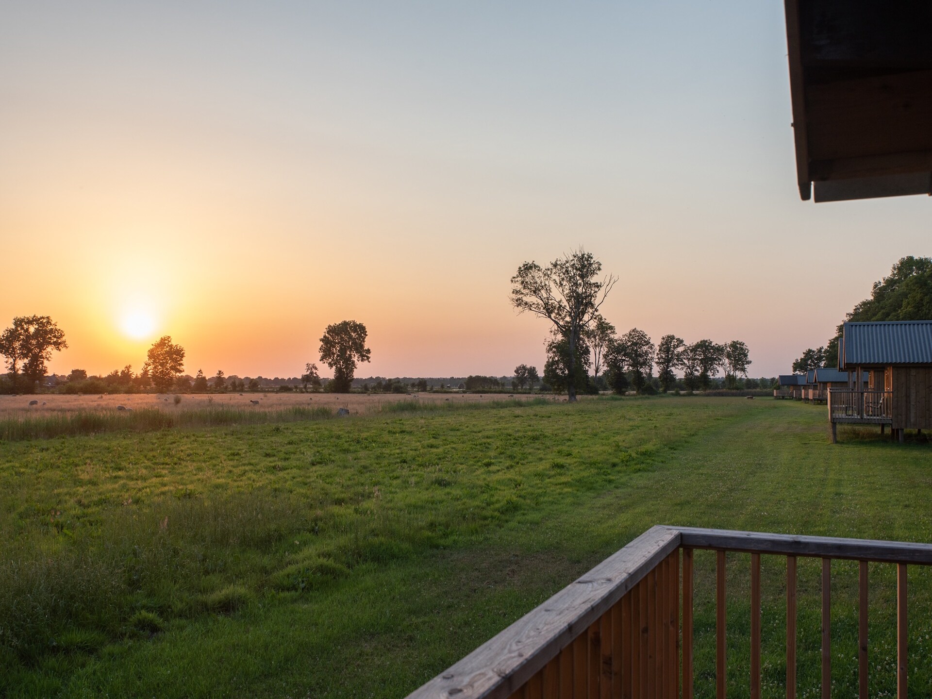 Knusse boslodge aan weilanden in Ruinerwold voor 4 personen - foto 25