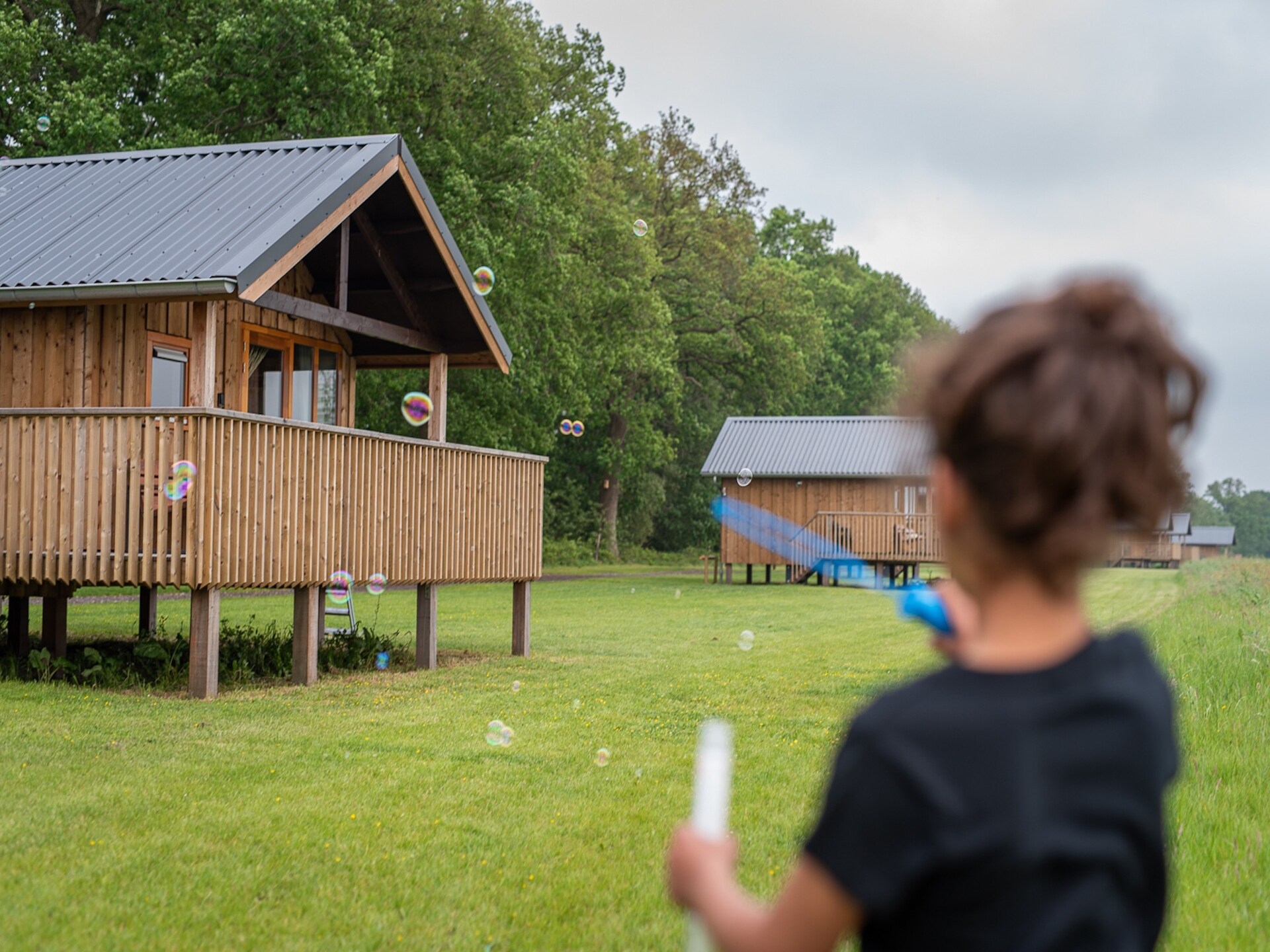 Knusse boslodge aan weilanden in Ruinerwold voor 4 personen - foto 40