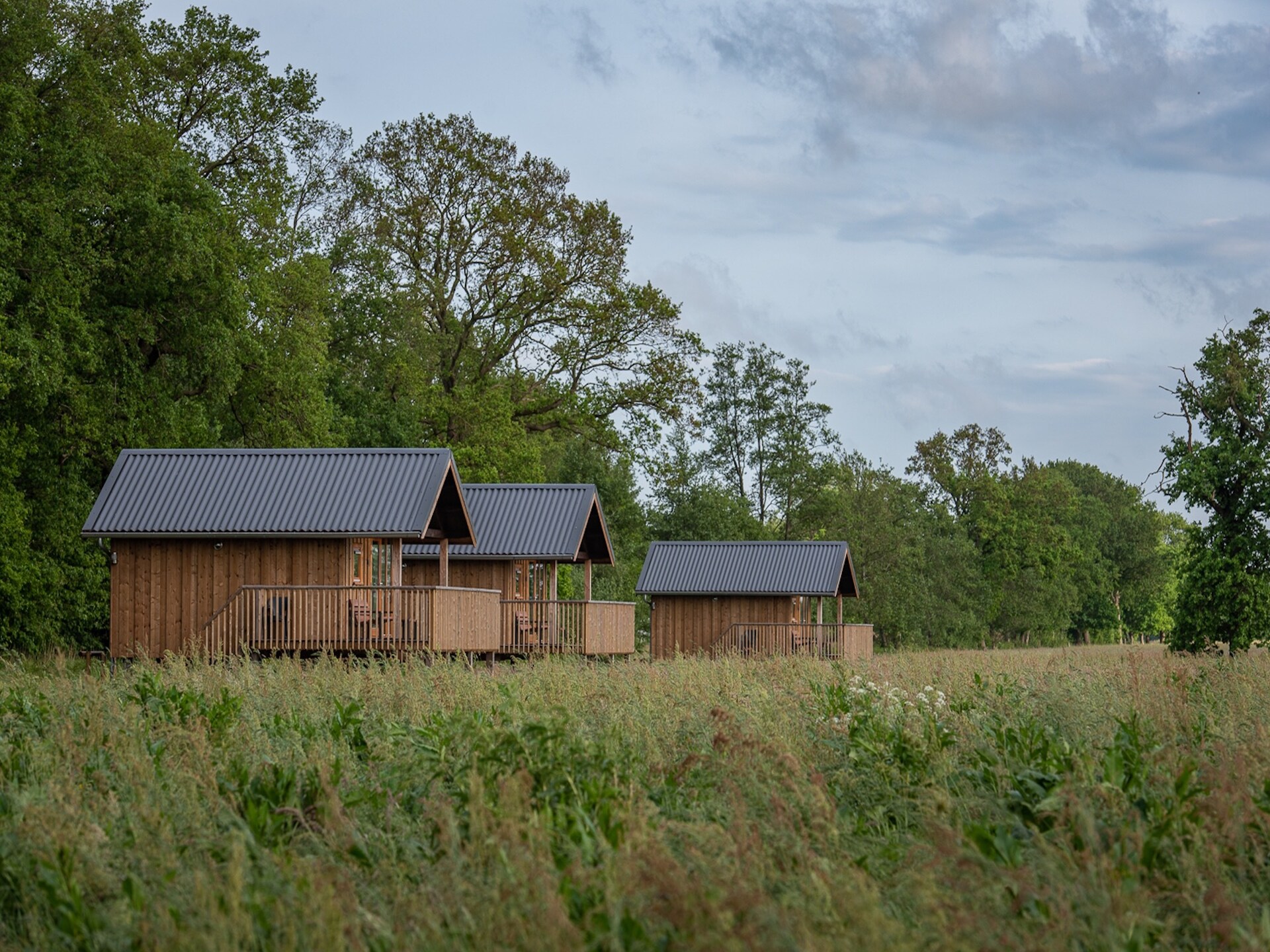 Acker Lodges 2: Ruim vakantiehuis voor 12 personen aan de weilanden van Drenthe - foto 6