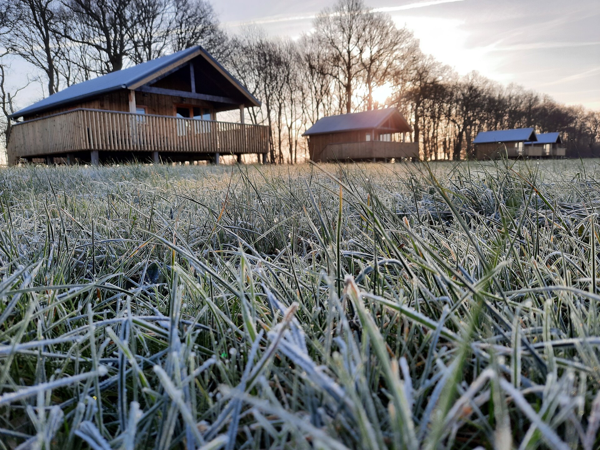 Acker Lodges 2: Ruim vakantiehuis voor 12 personen aan de weilanden van Drenthe - foto 27
